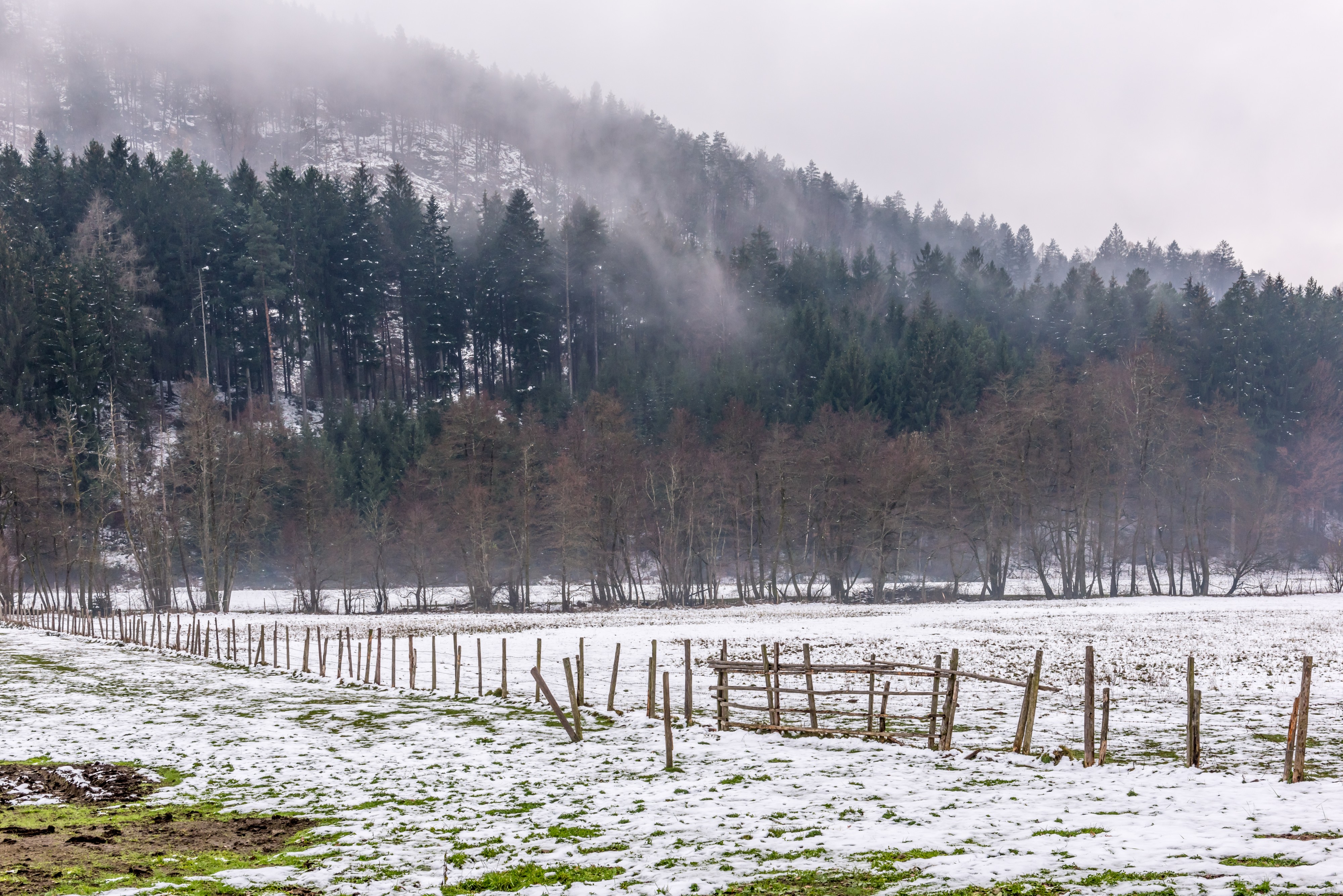 Villach Warmbad Warmbader Straße Zaun in Wiese 22112018 5451