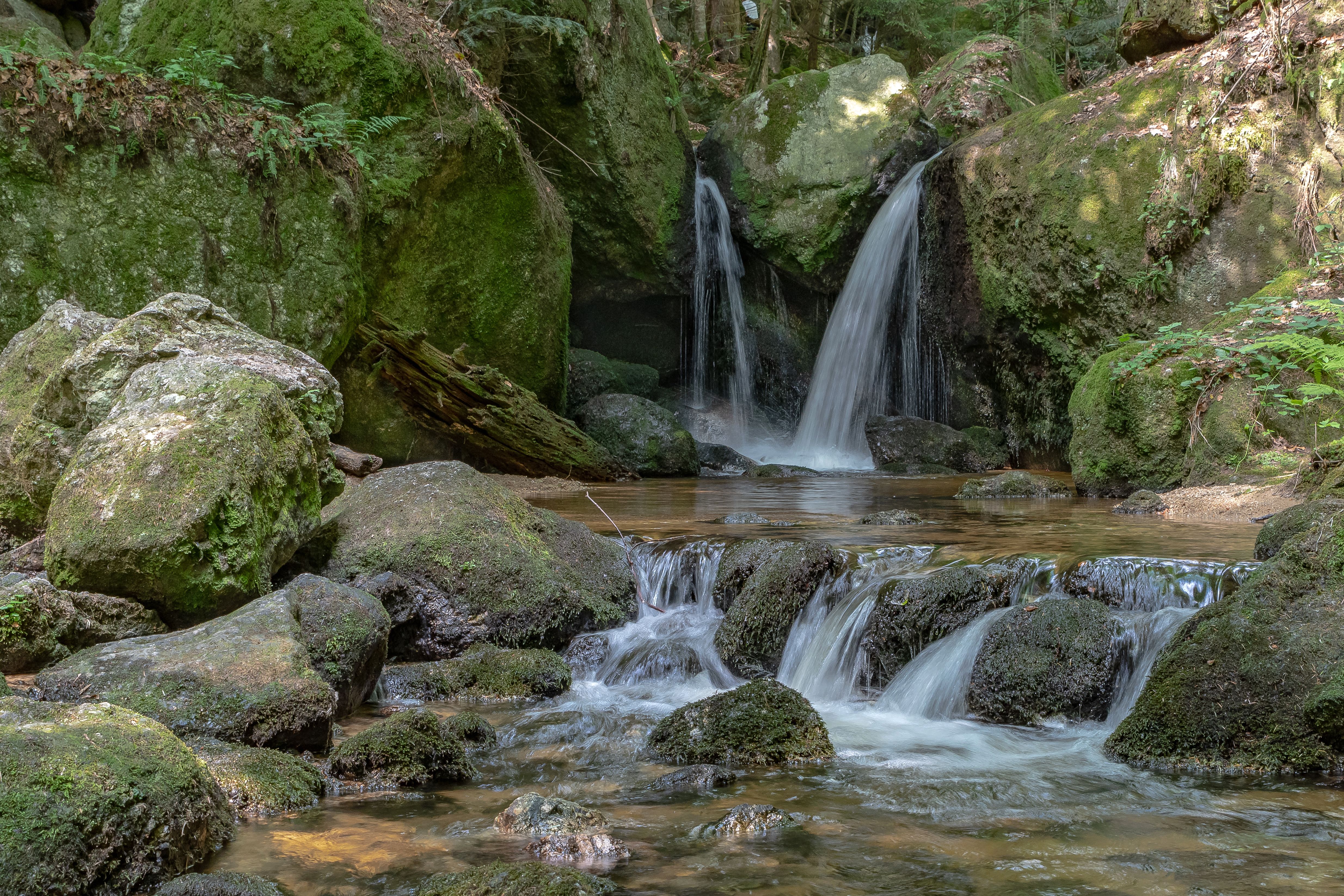 Ysperklamm-8165