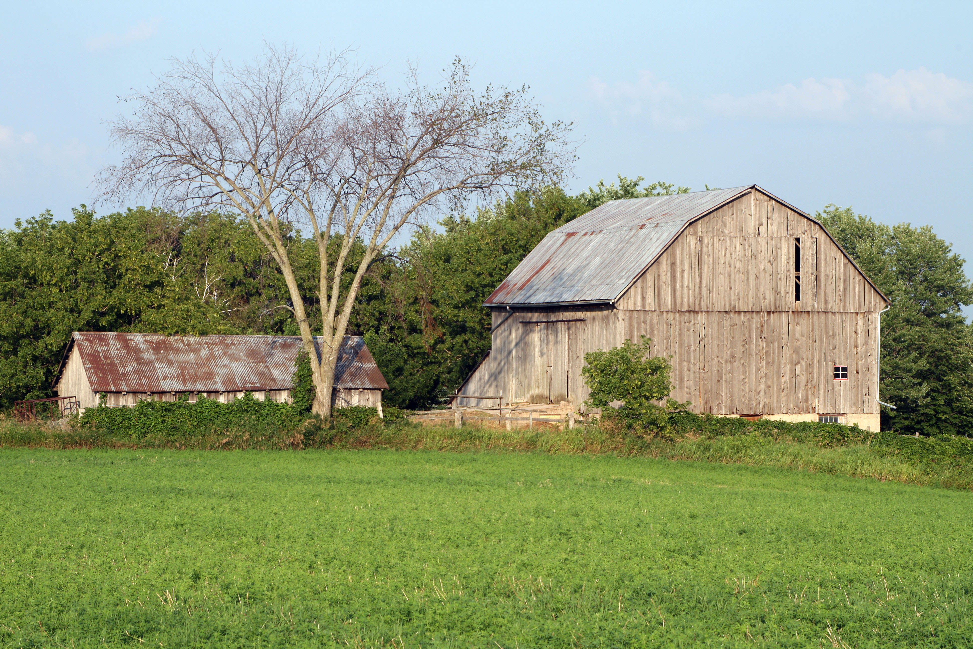 Barn Ontario (9361)-Relic38