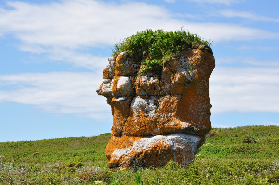 Île Nue de Mingan