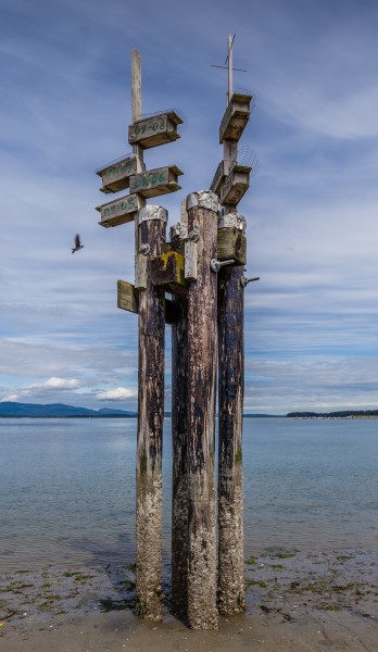 Birdhouses on Sidney Spit, Sidney Island, British Columbia, Canada 05