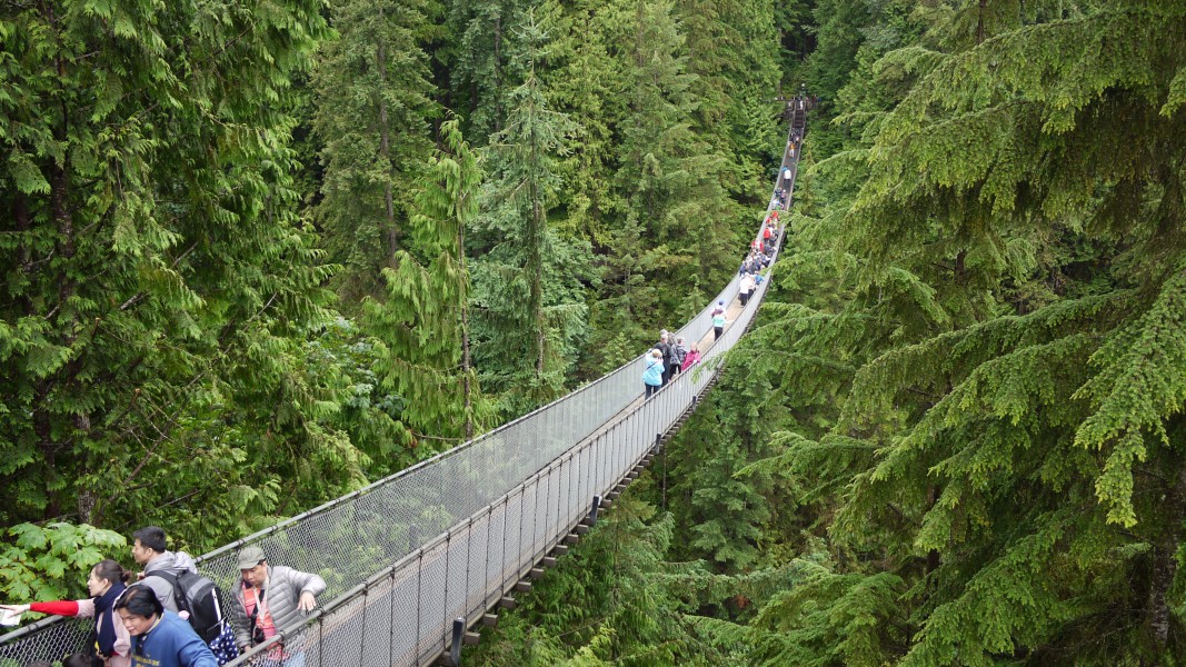 Capilano Suspension Bridge, Vancouver, Canada (July 2016) 1
