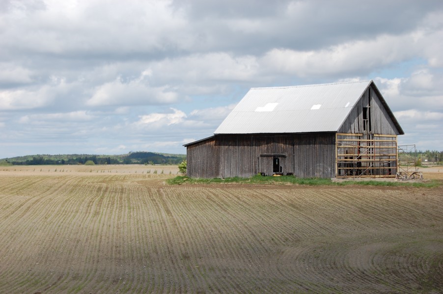 La Baie Chemin du Plateau 
