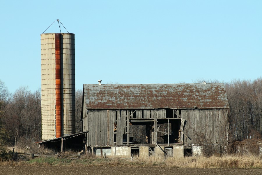 Old Barn Ontario (2879)-Relic38