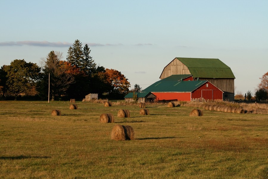 Red Barn Ontario (2231)-Relic38
