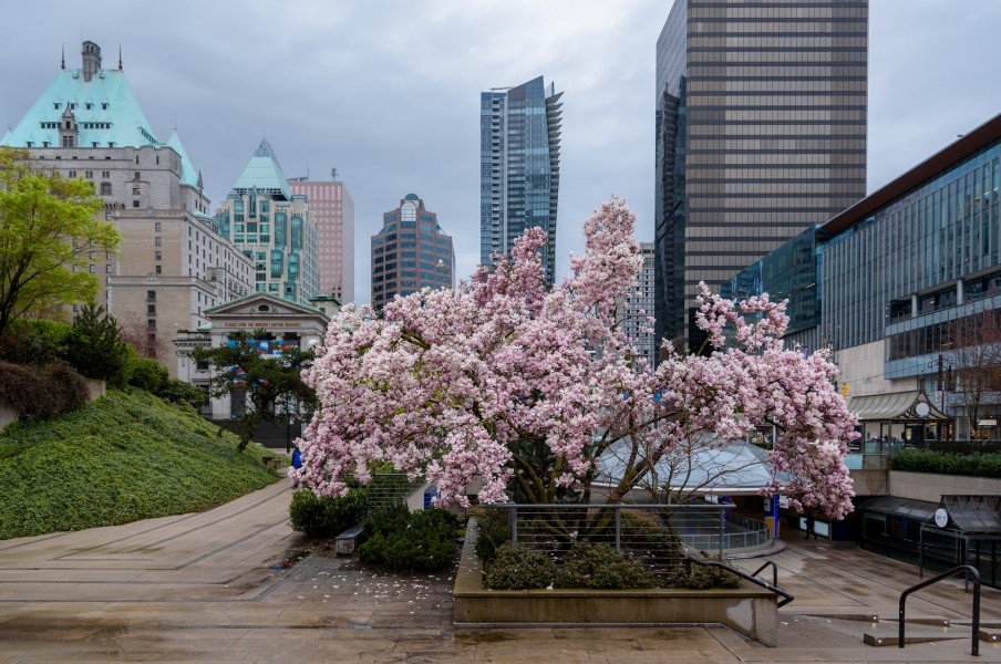 Robson Square Vancouver 05