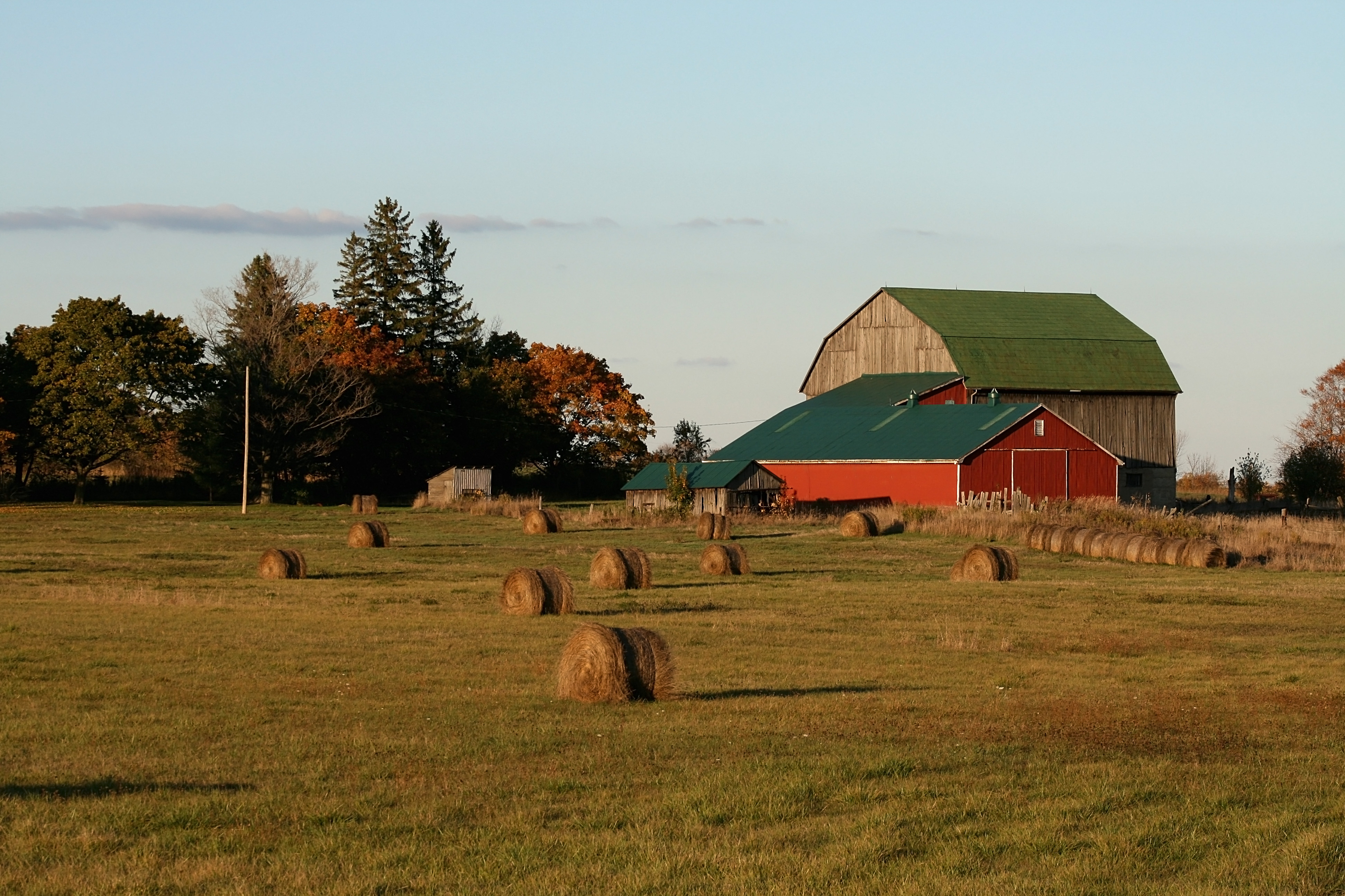 Red Barn Ontario (2231)-Relic38