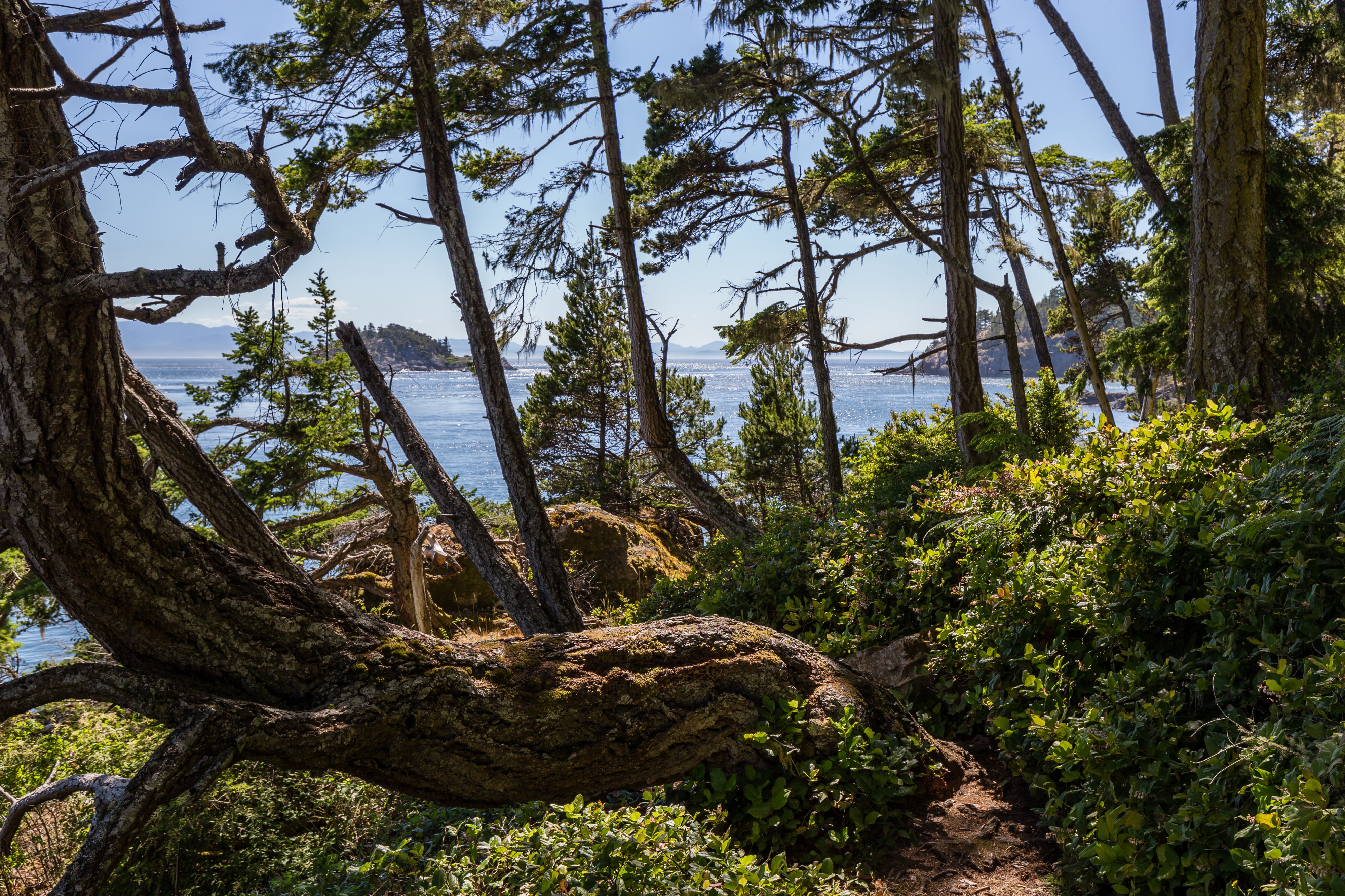 Coastal Trail, East Sooke Regional Park, British Columbia, Canada 26