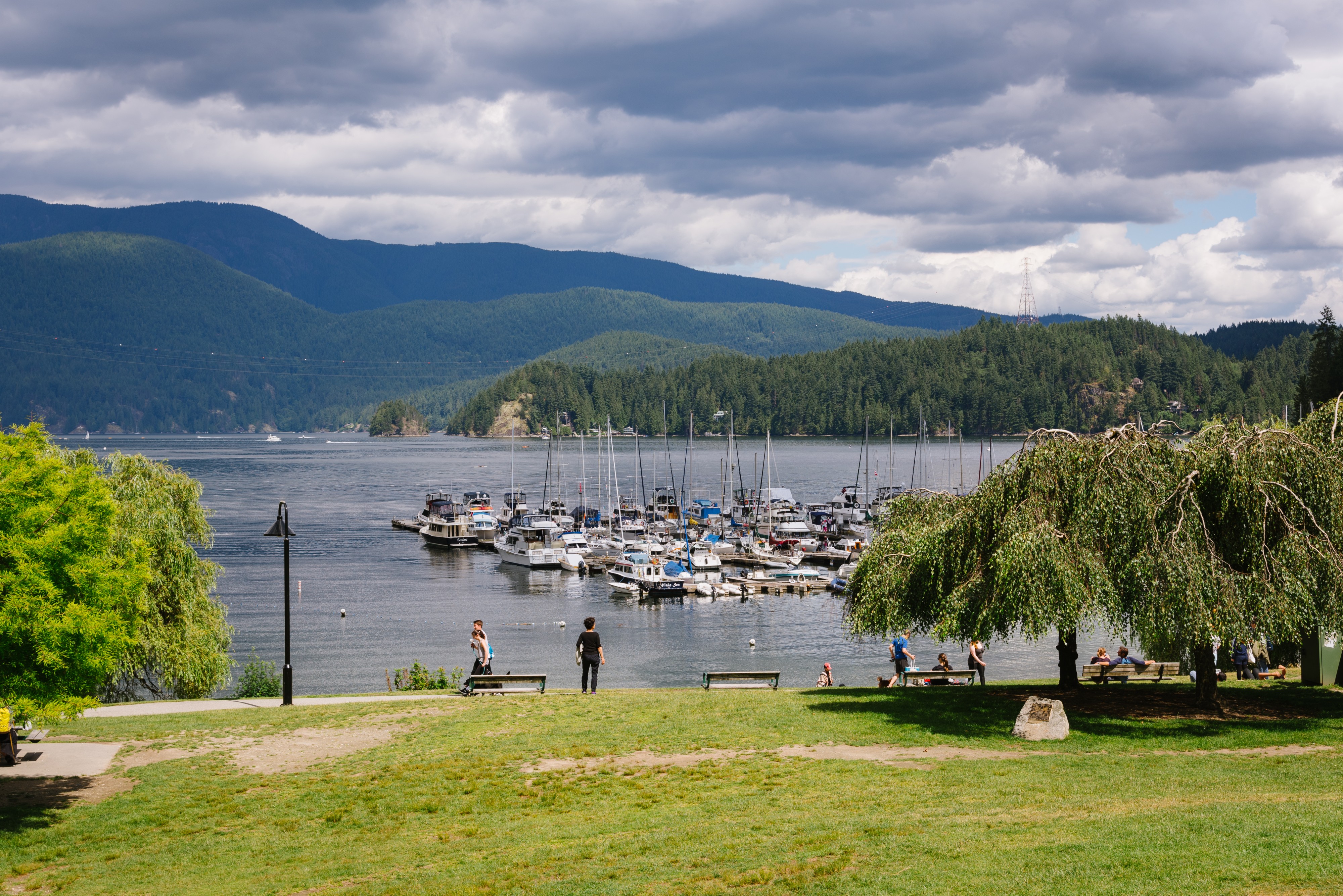 Deep Cove 1