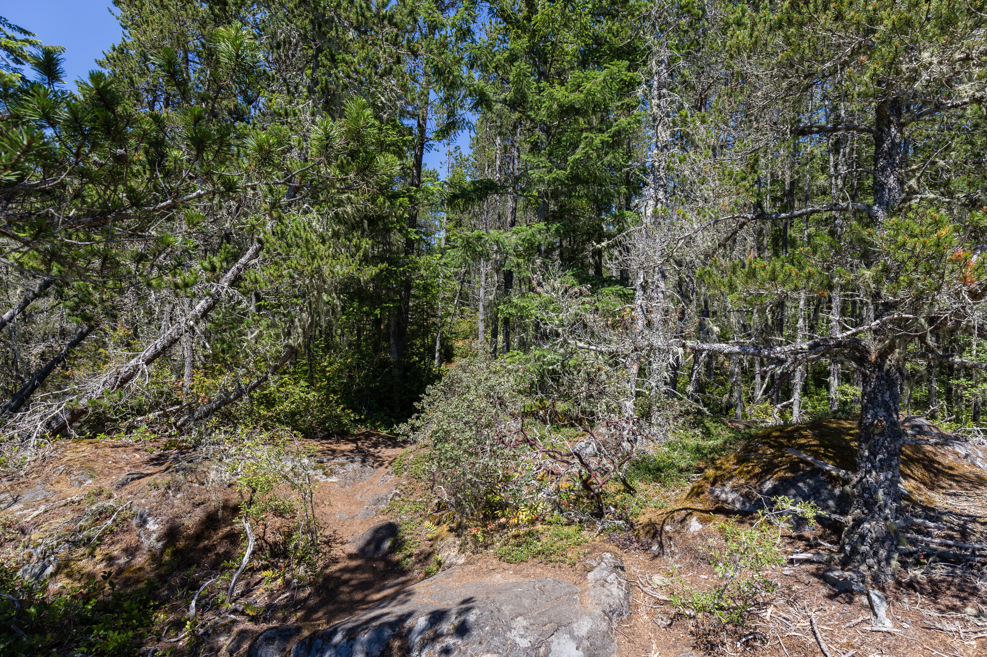 Mount Magurie, East Sooke Regional Park, British Columbia, Canada 10