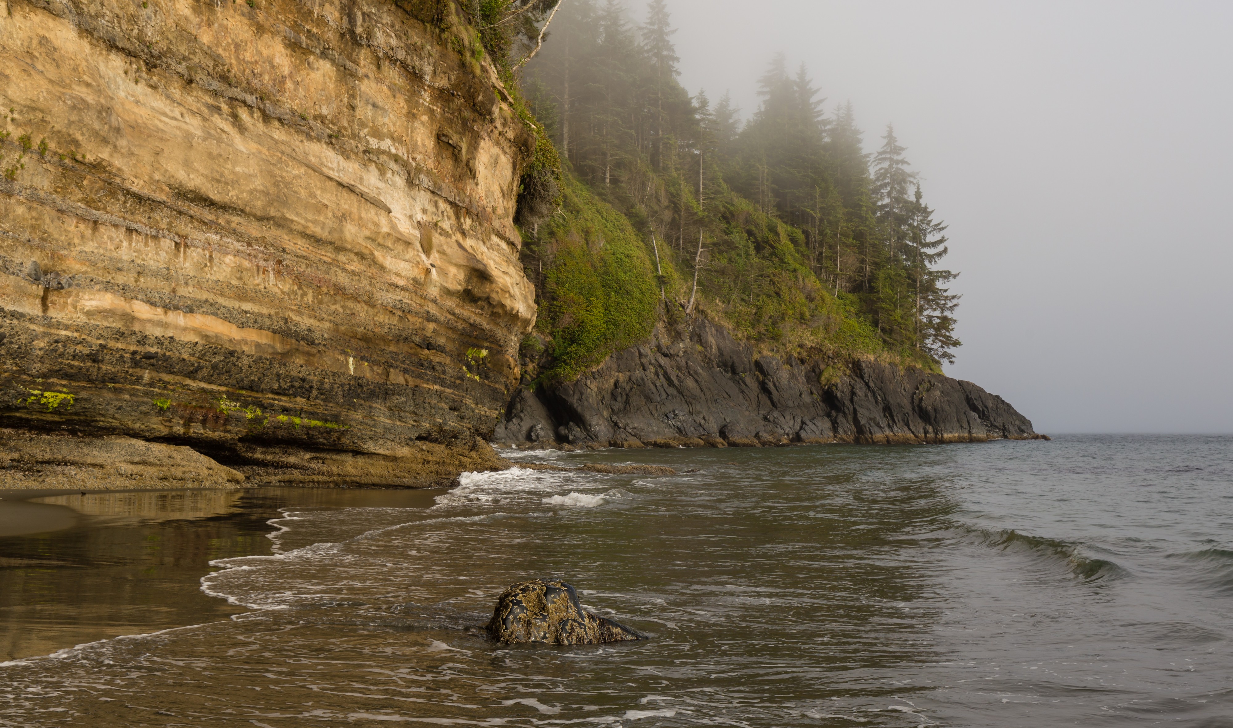 Mystic Beach, Vancouver Island, Canada 04