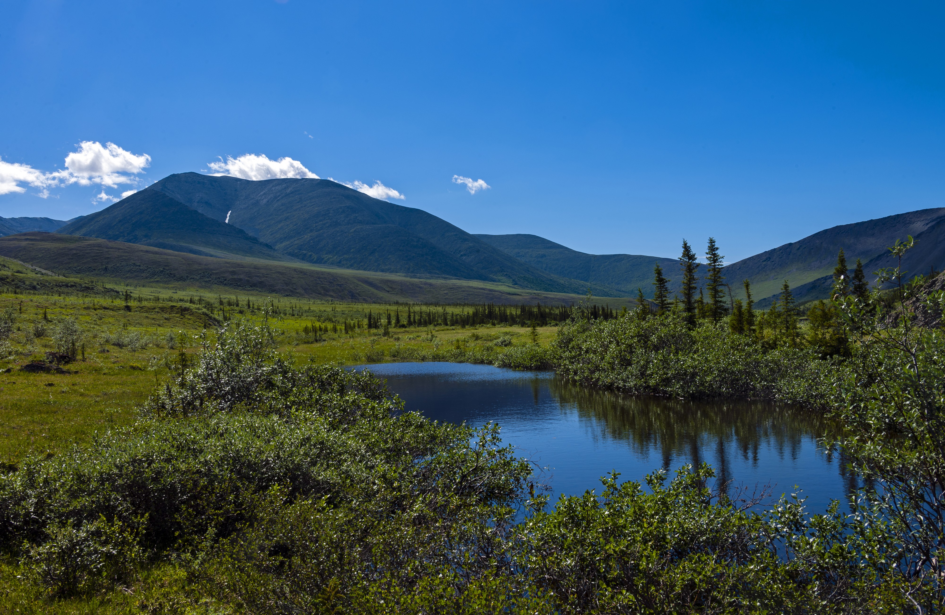 Tundra landscape with mountains and small pond, Ivvavik National Park, YT