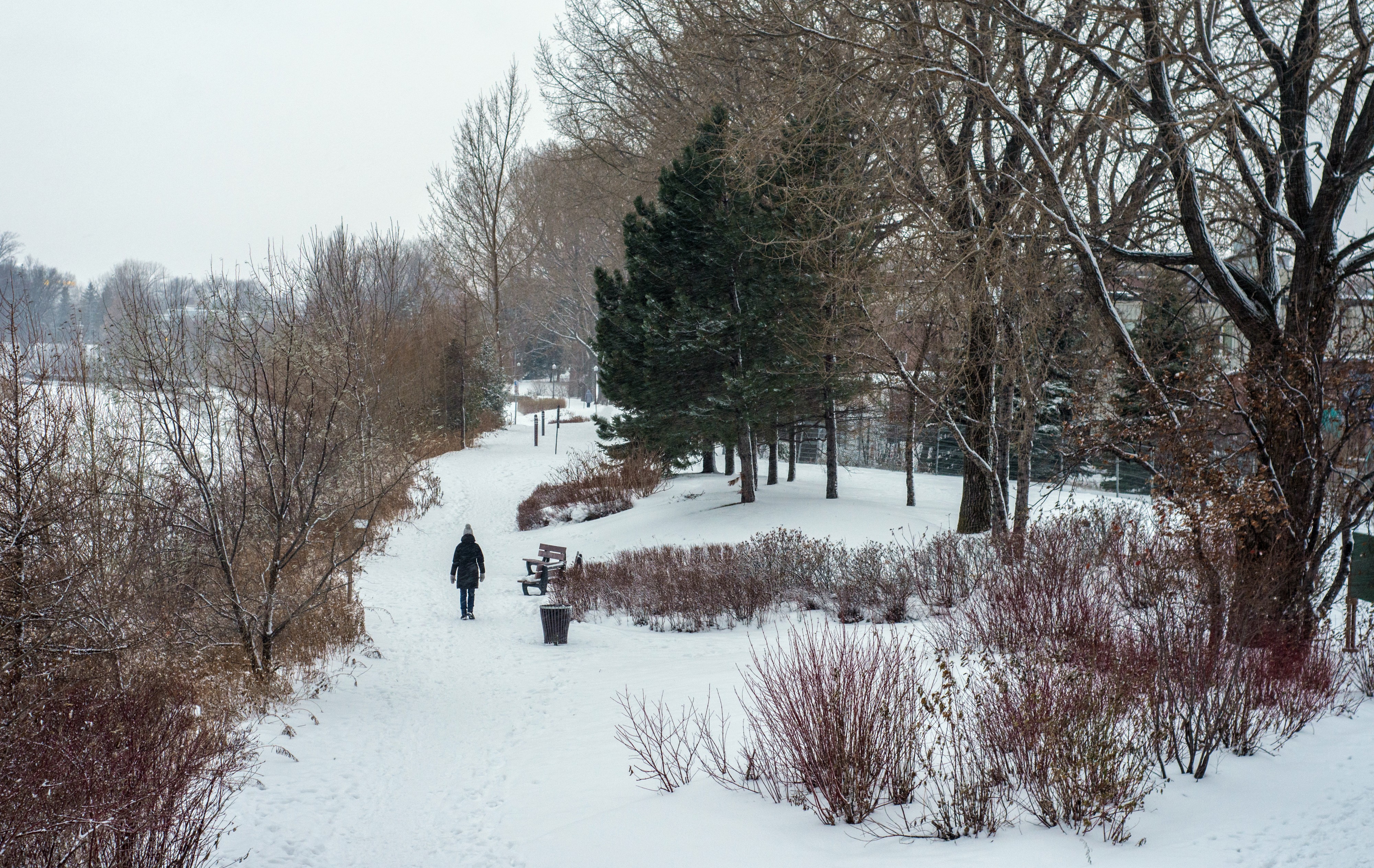 Winter on Quebec city, Canada 09