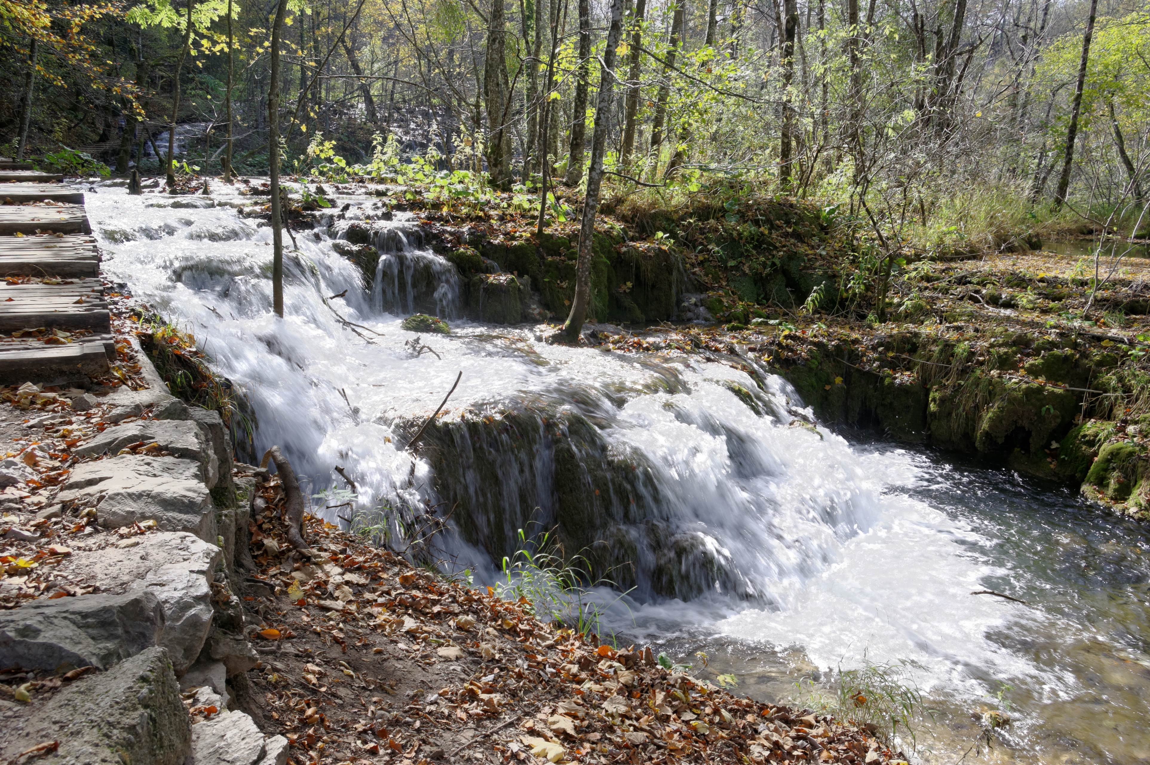 Plitvice Lakes National Park BW 2014-10-13 13-29-14
