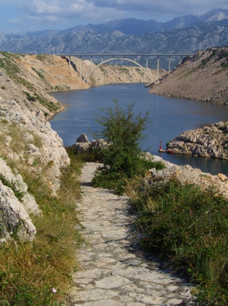 Novsko ždrilo 2010
