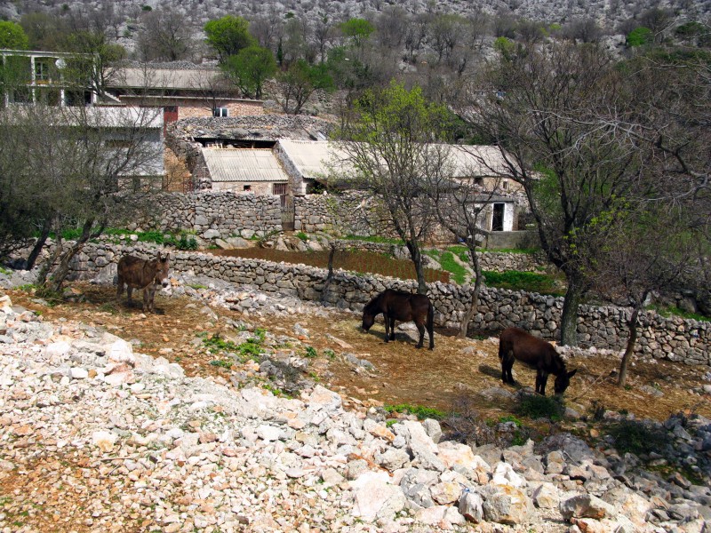 Velebit Ljubotic 5