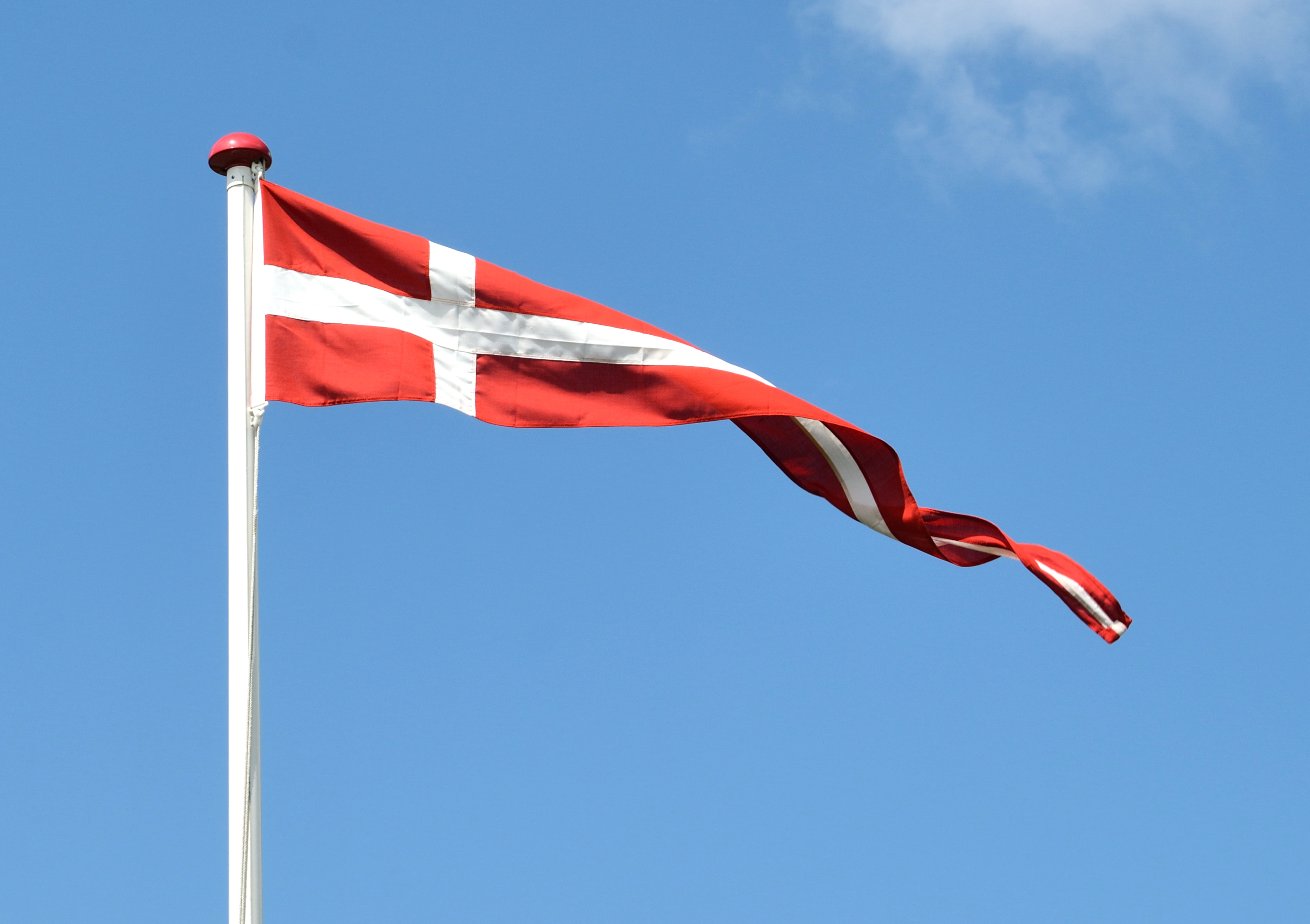 Dannebrog2