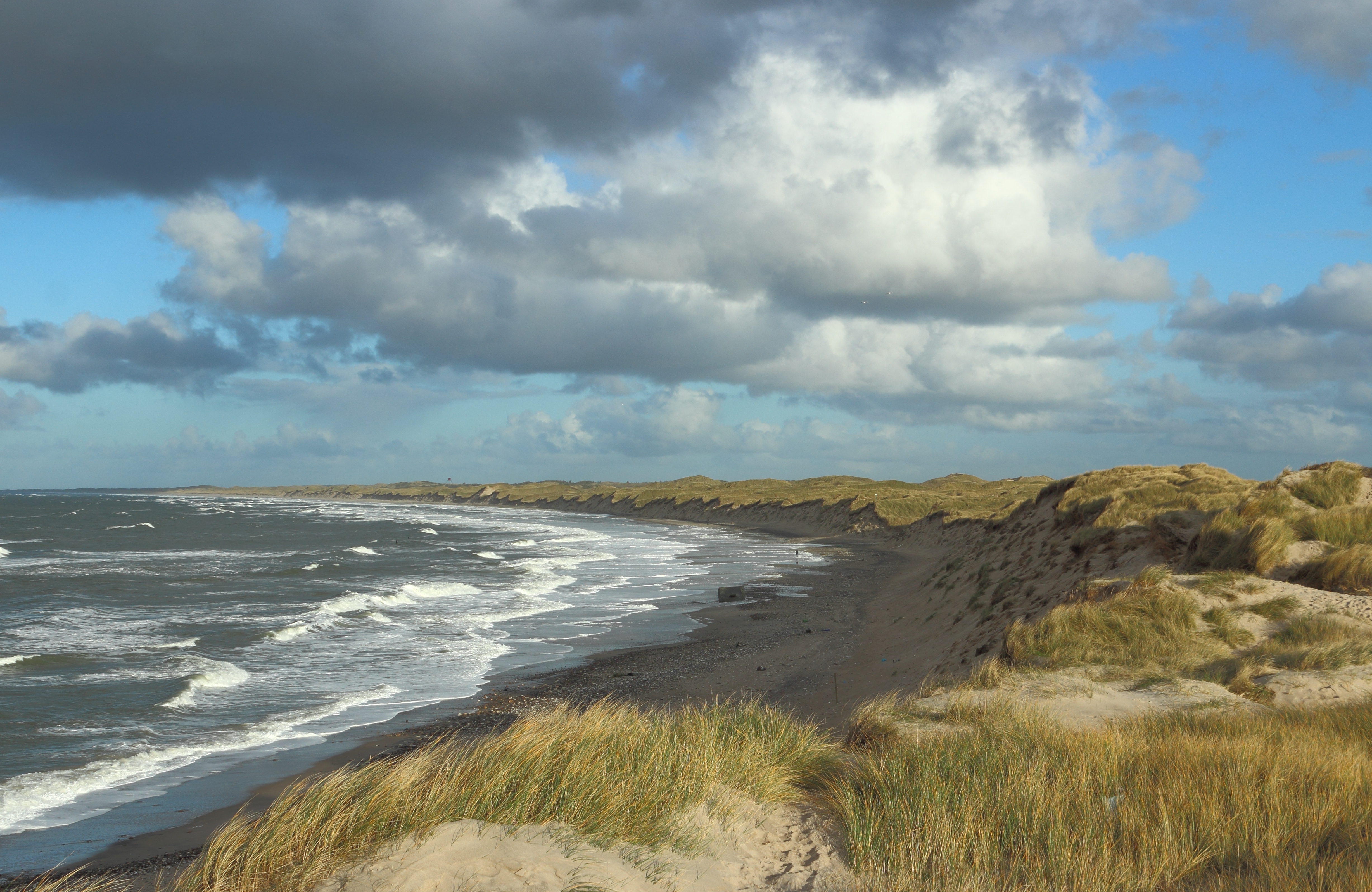 Nørre Vorupør Coast 2012-11-18