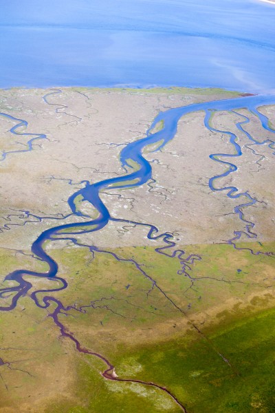 North sea coast in Denmark (10766340846)
