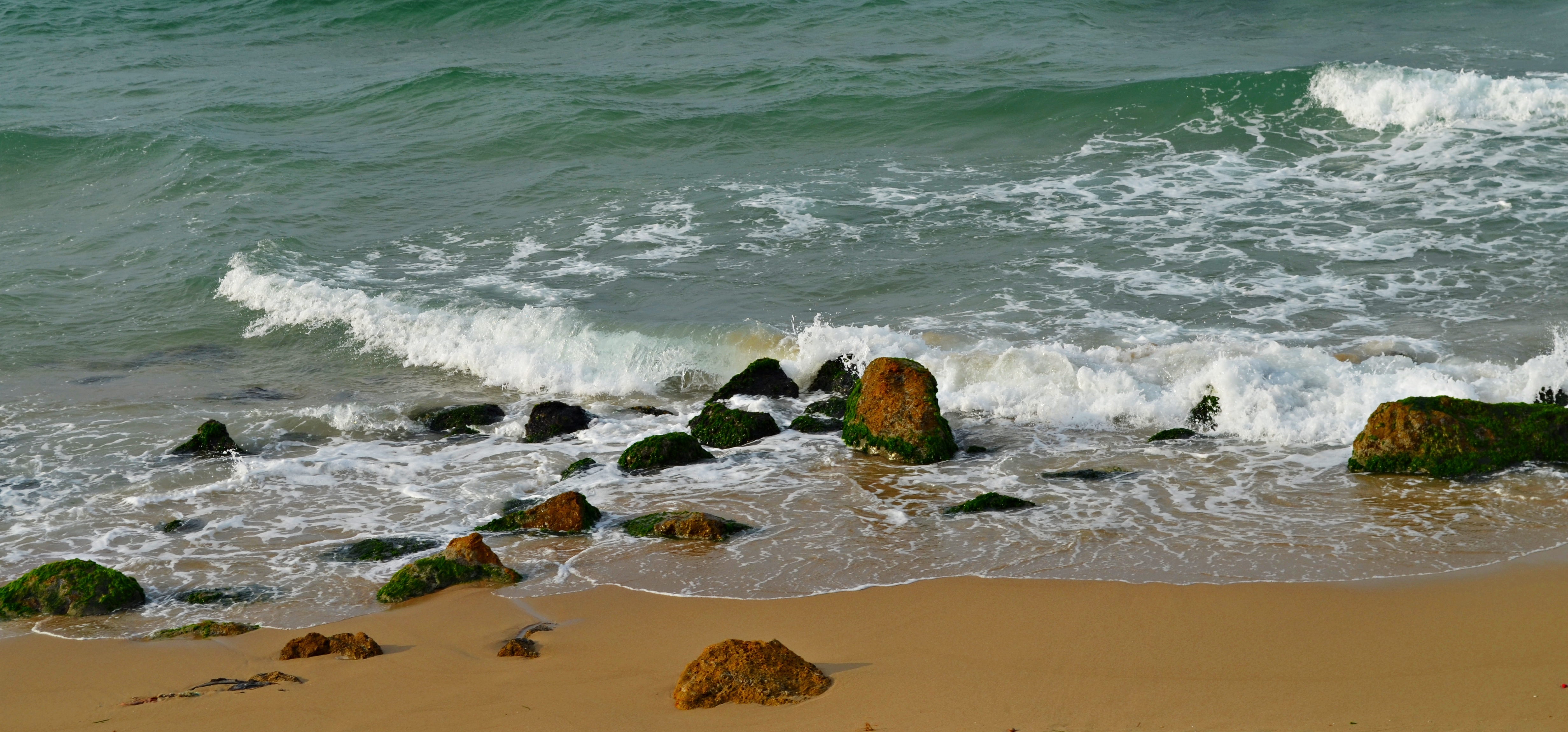 Alexandria Beach