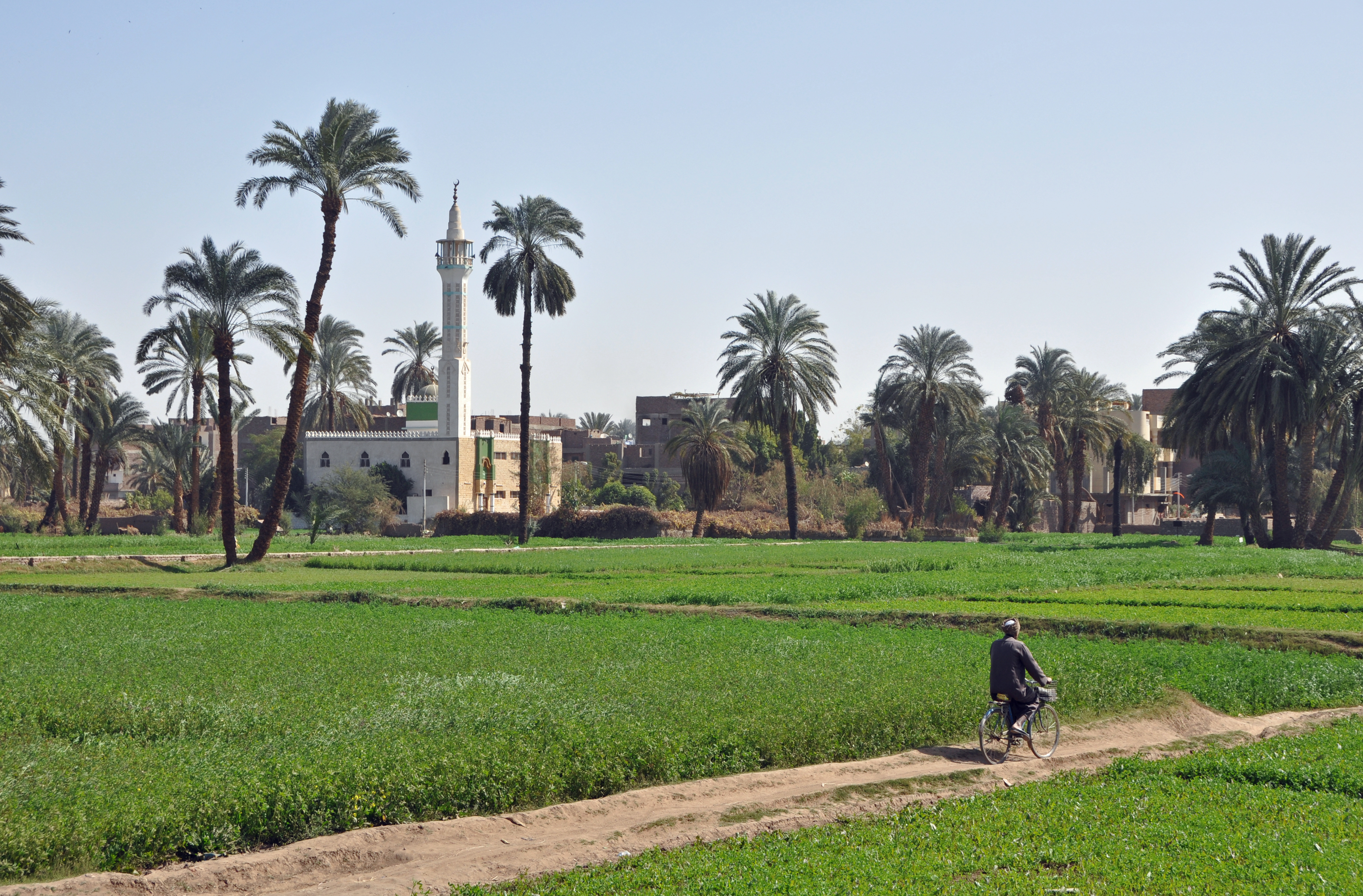 Egyptian Countryside R02