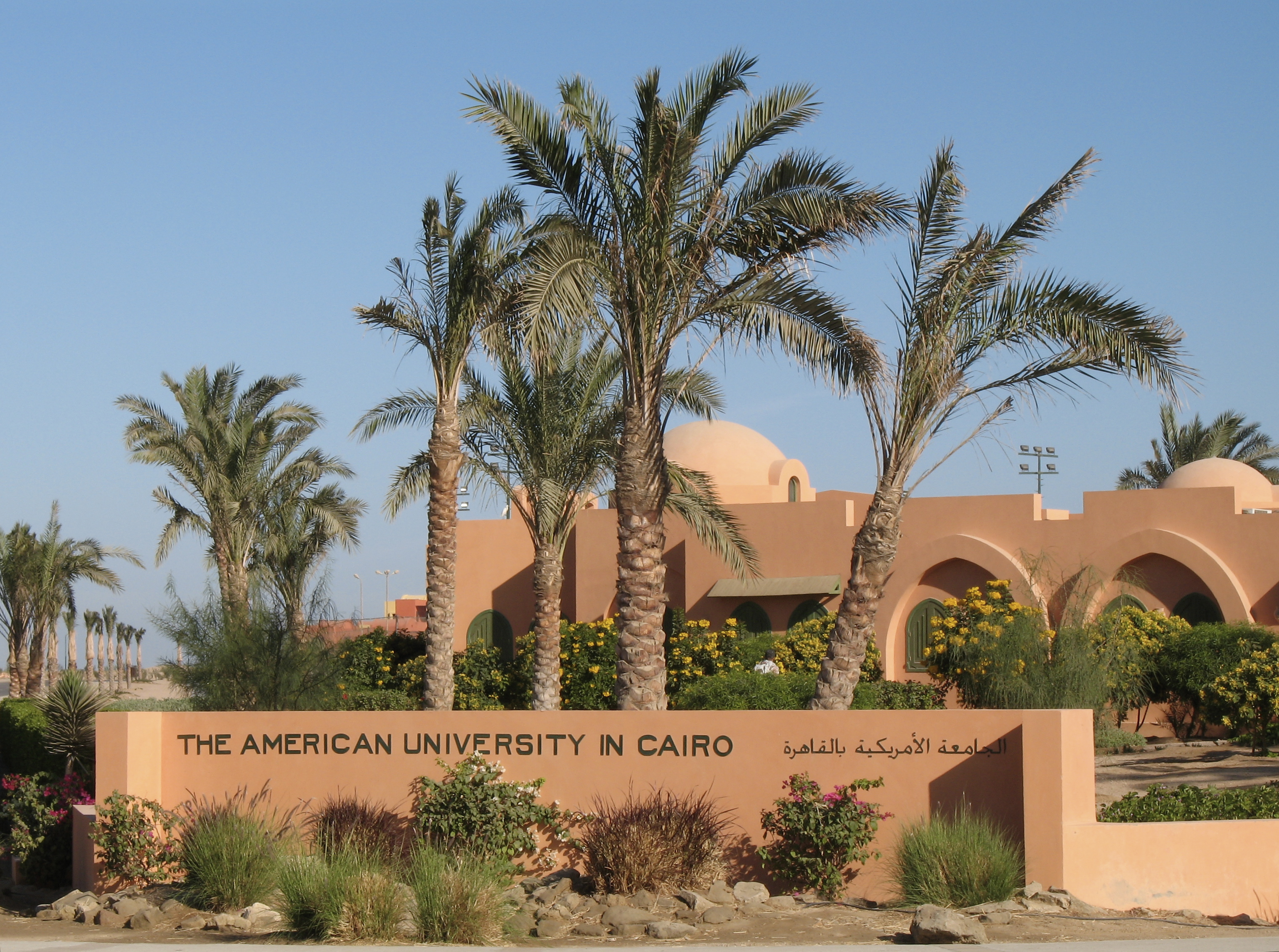 El Gouna AmUniv