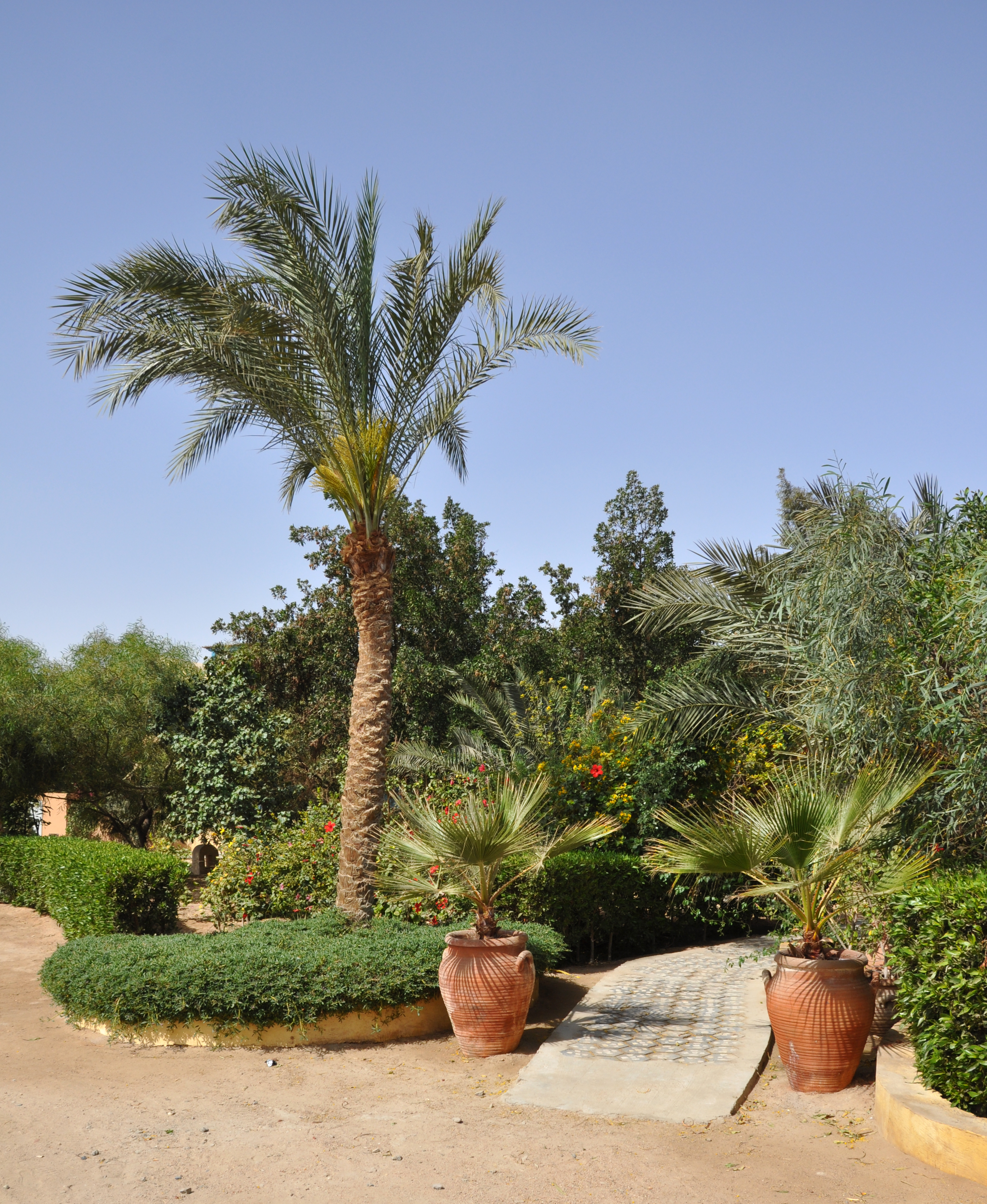 El Gouna R26