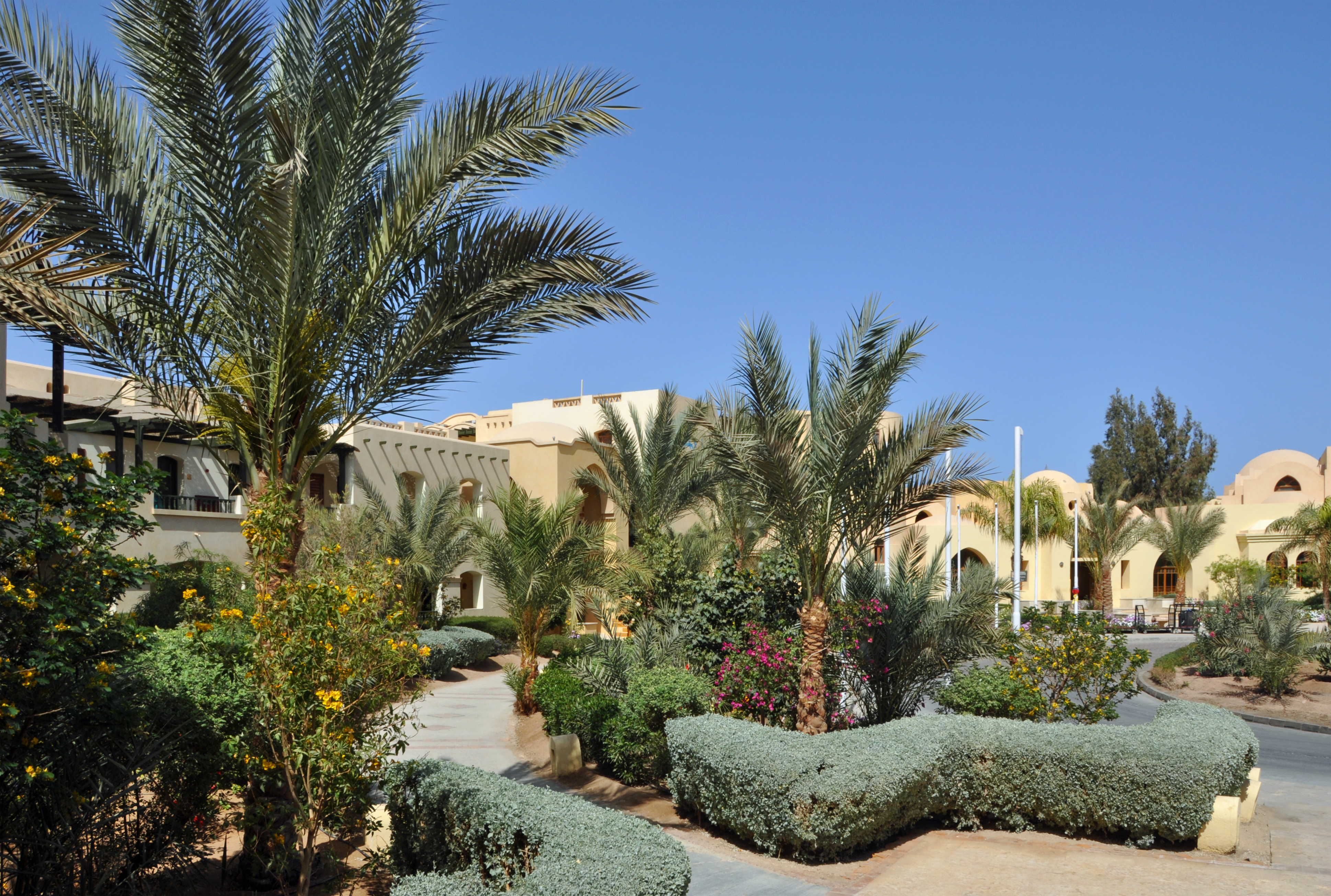 El Gouna Three Corners R04