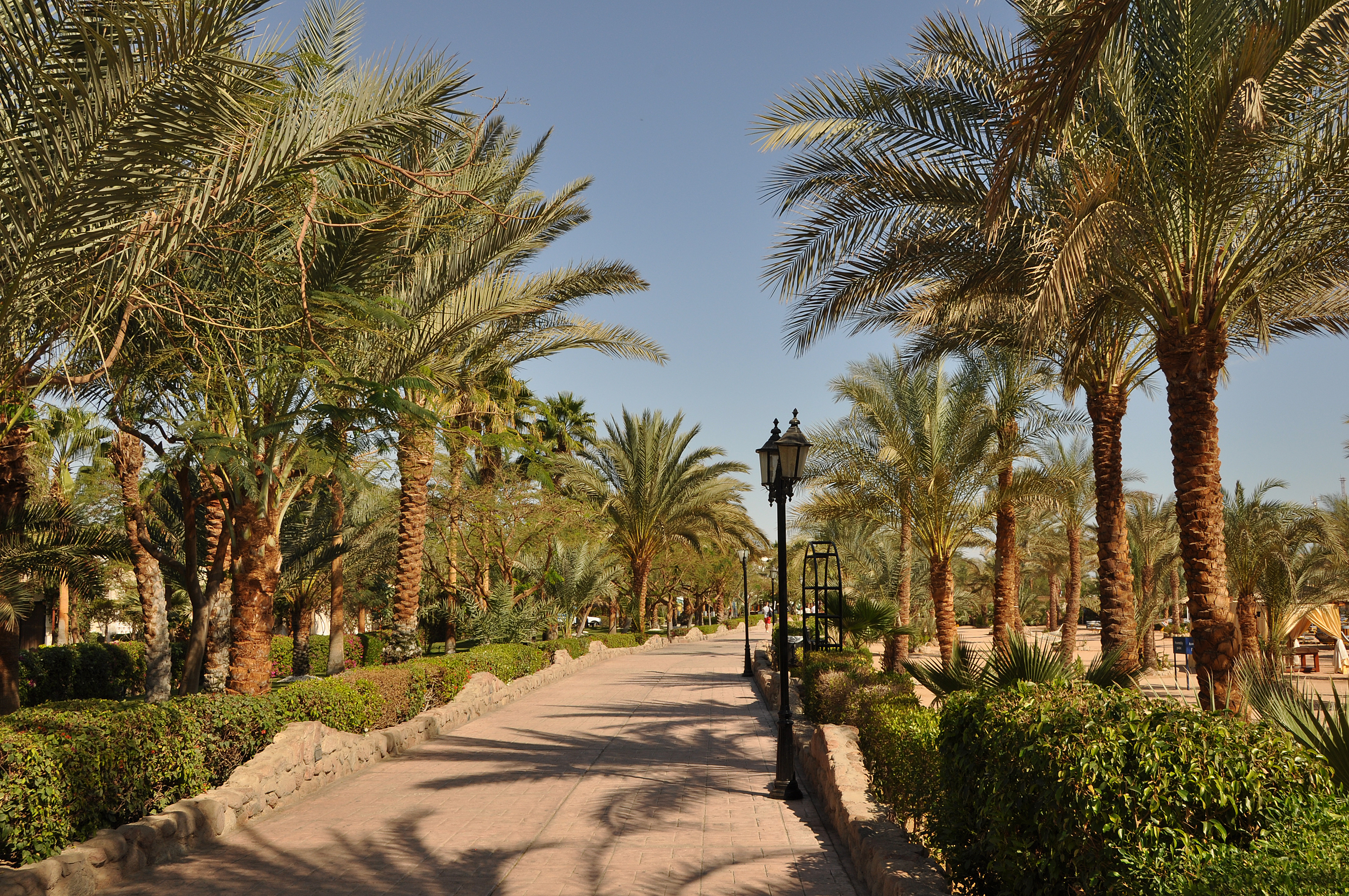 Naama Bay Promenade R01