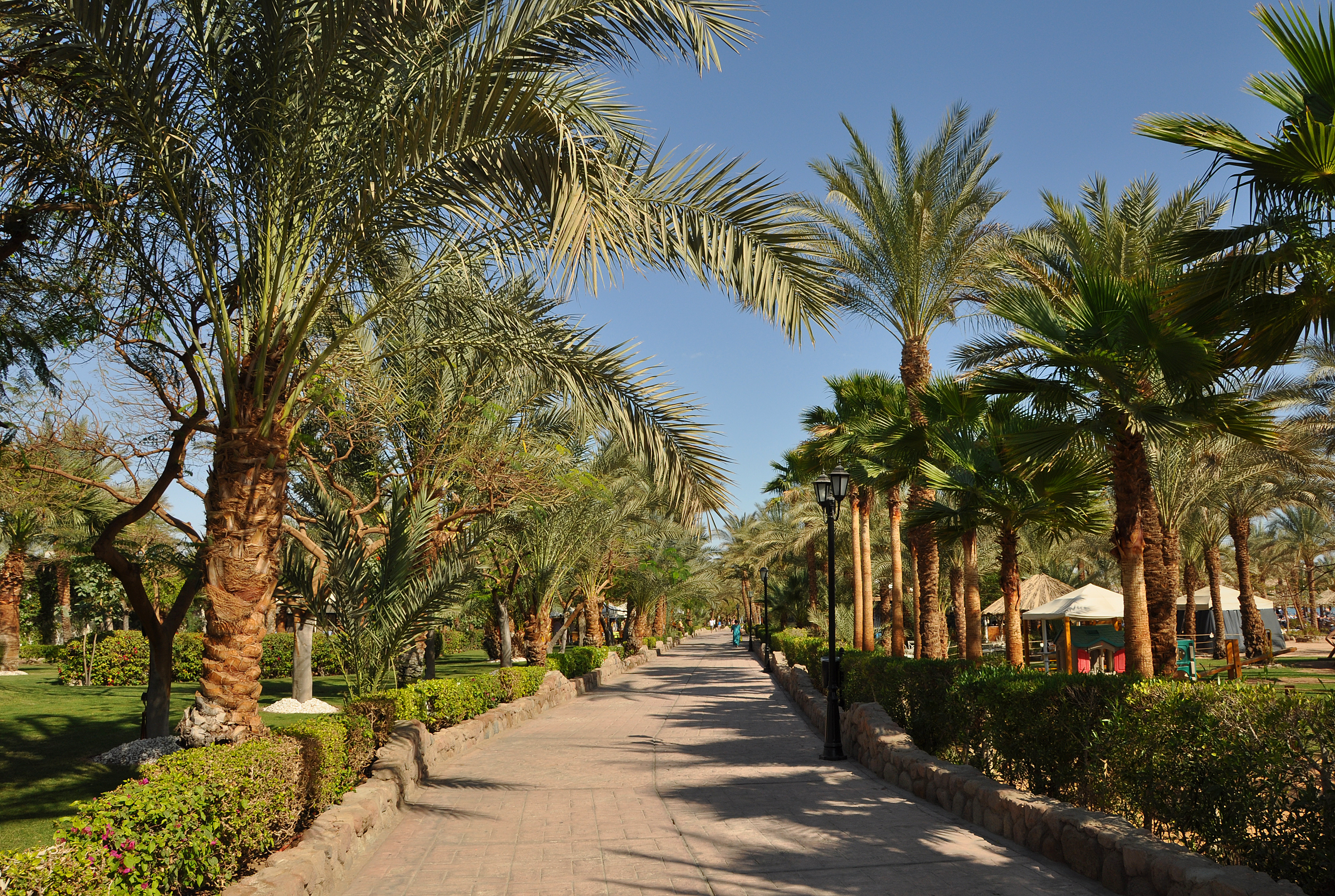Naama Bay Promenade R03