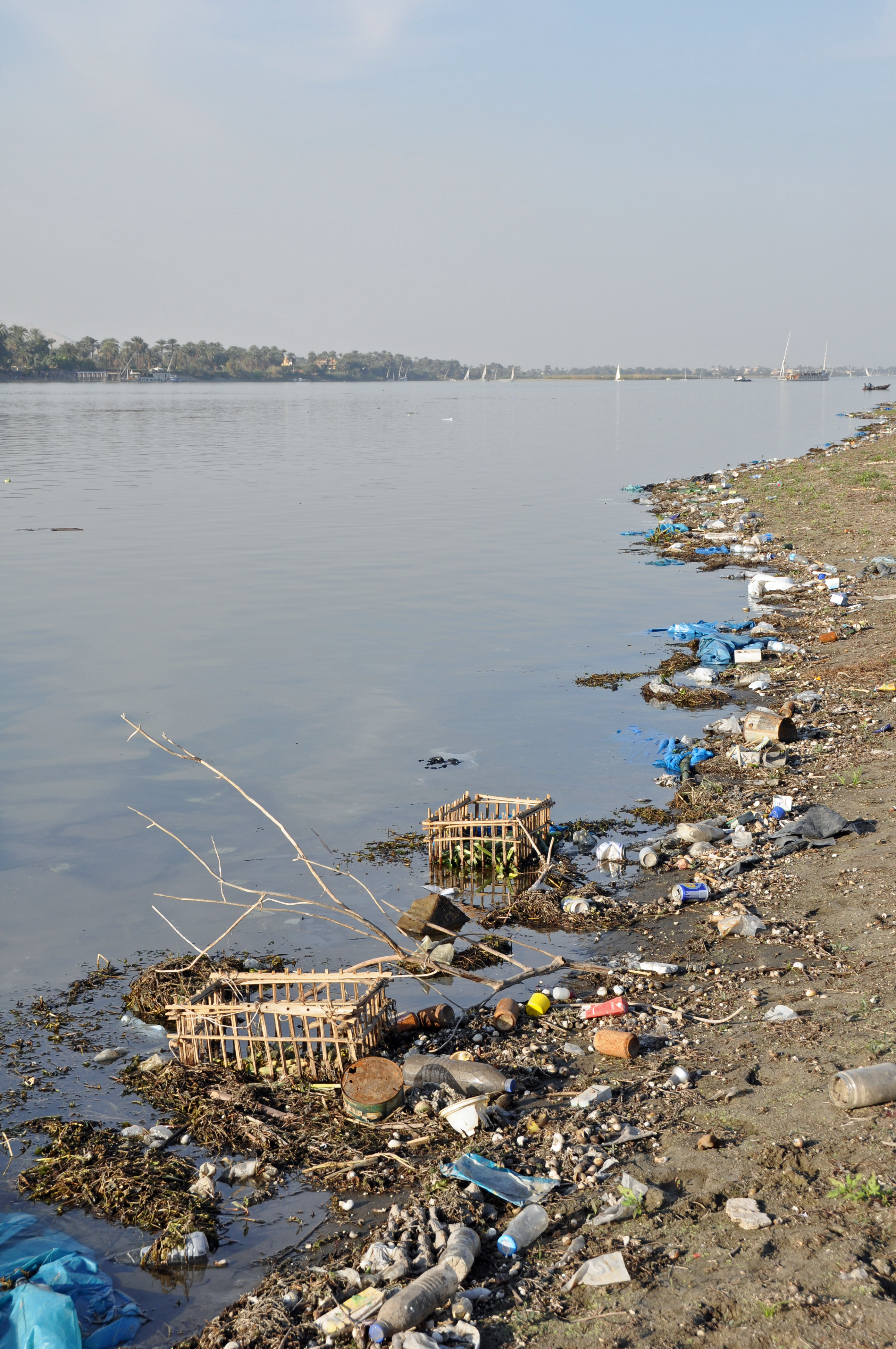 Nile Litter R01