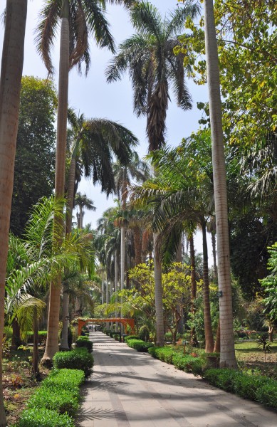 Aswan Kitchener Island R03