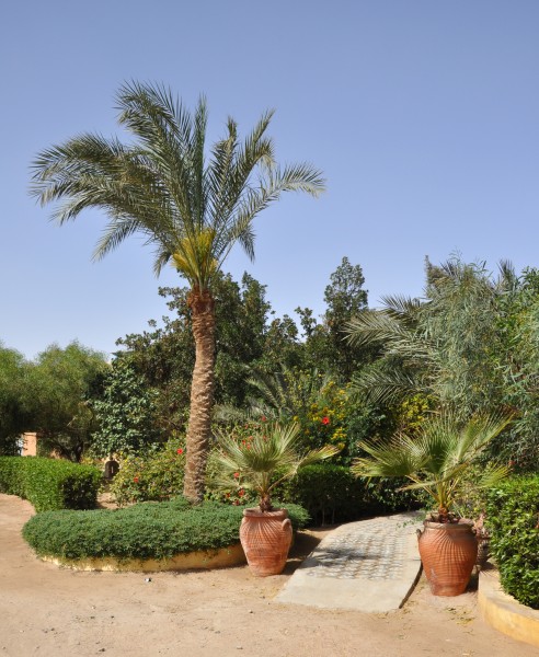 El Gouna R26