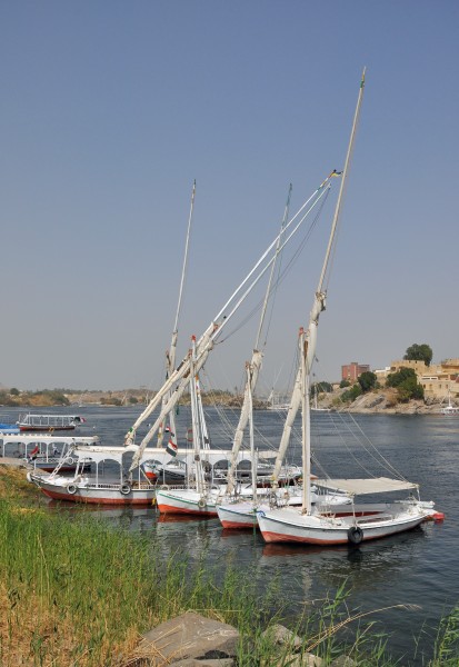 Felucca R05