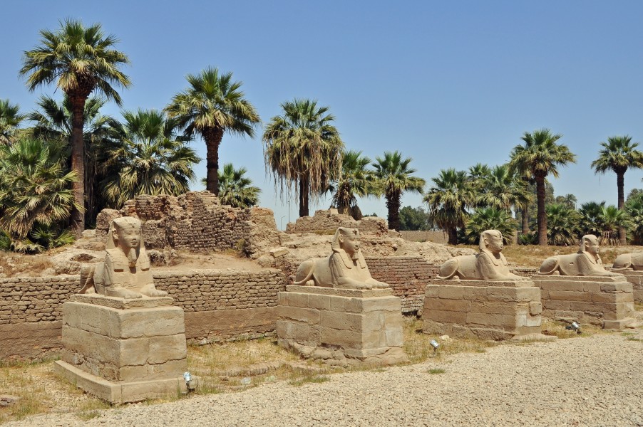 Luxor Dromos R03