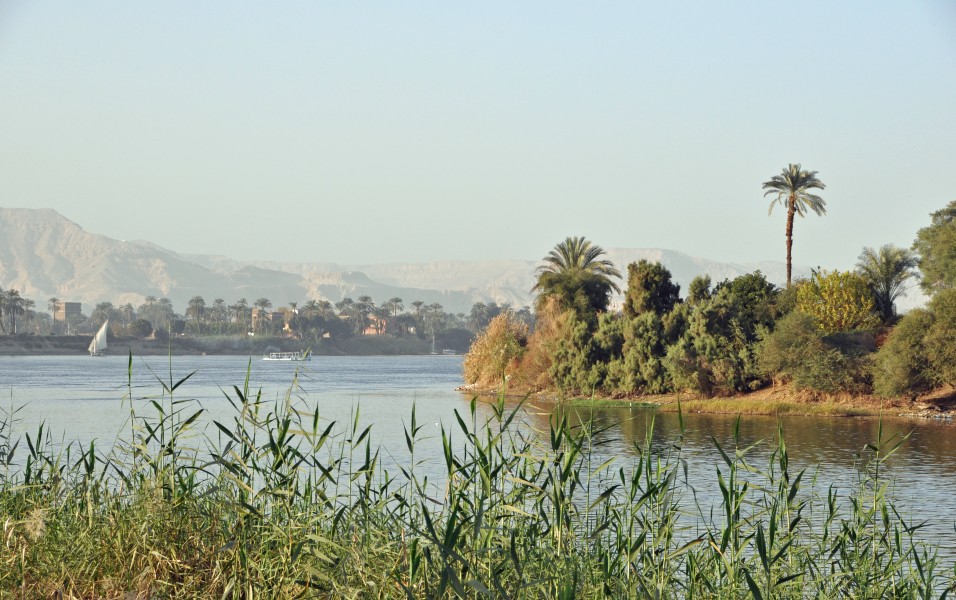 Luxor Nile R02