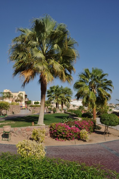 Sharm Garden R01