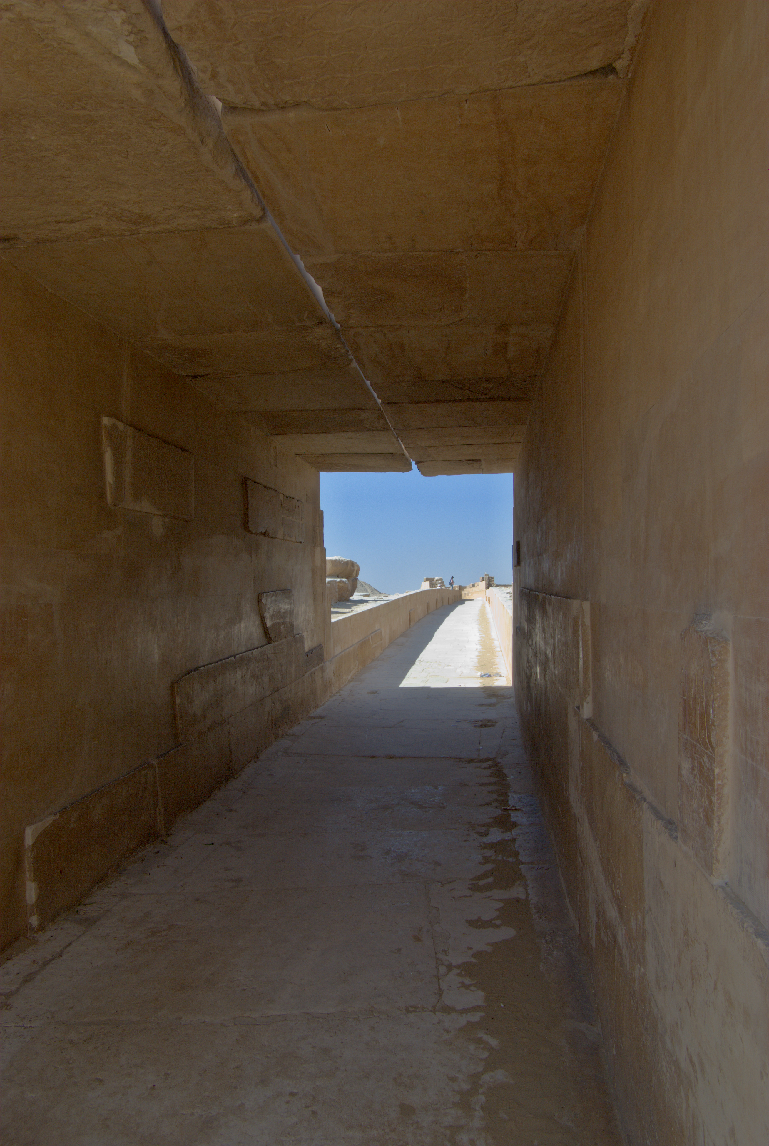 Saqqara BW 7
