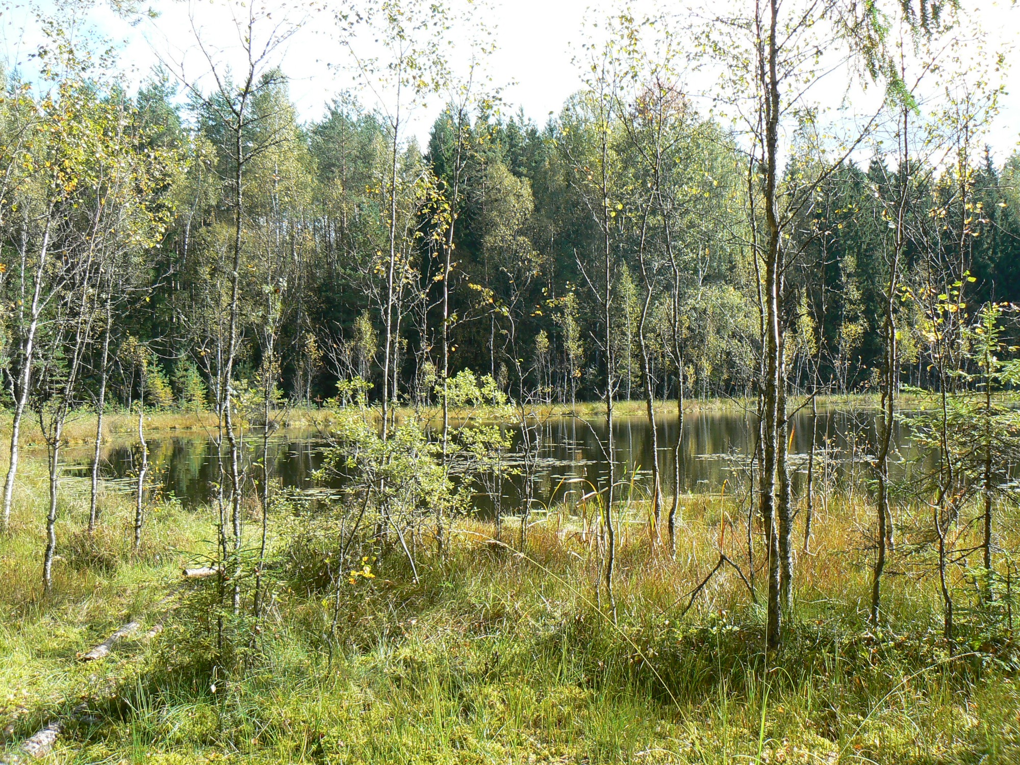 Hellenurme Linajärv