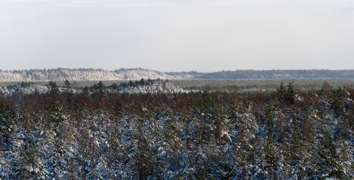 Alam-Pedja, 2010-11, 3