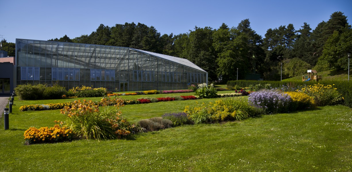 Jardín Botánico de Tallinn, Estonia, 2012-08-12, DD 02