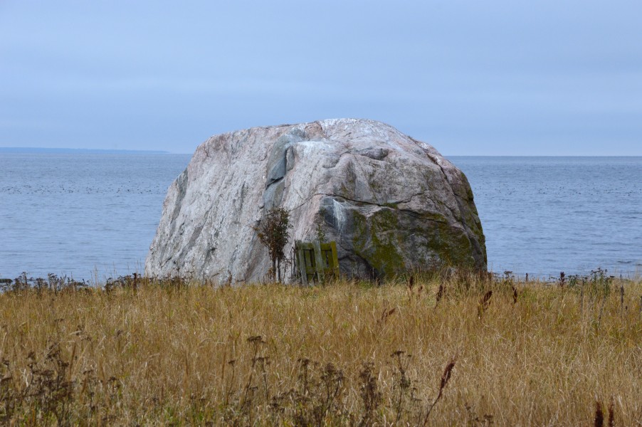 Malusi rändrahn