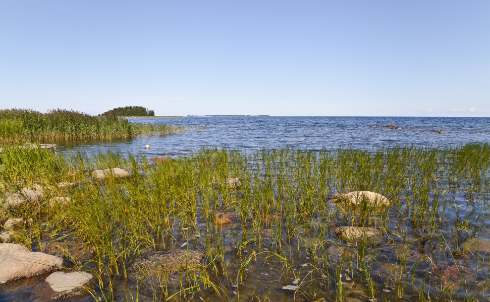 Parque Nacional Lahemaa, Estonia, 2012-08-12, DD 18