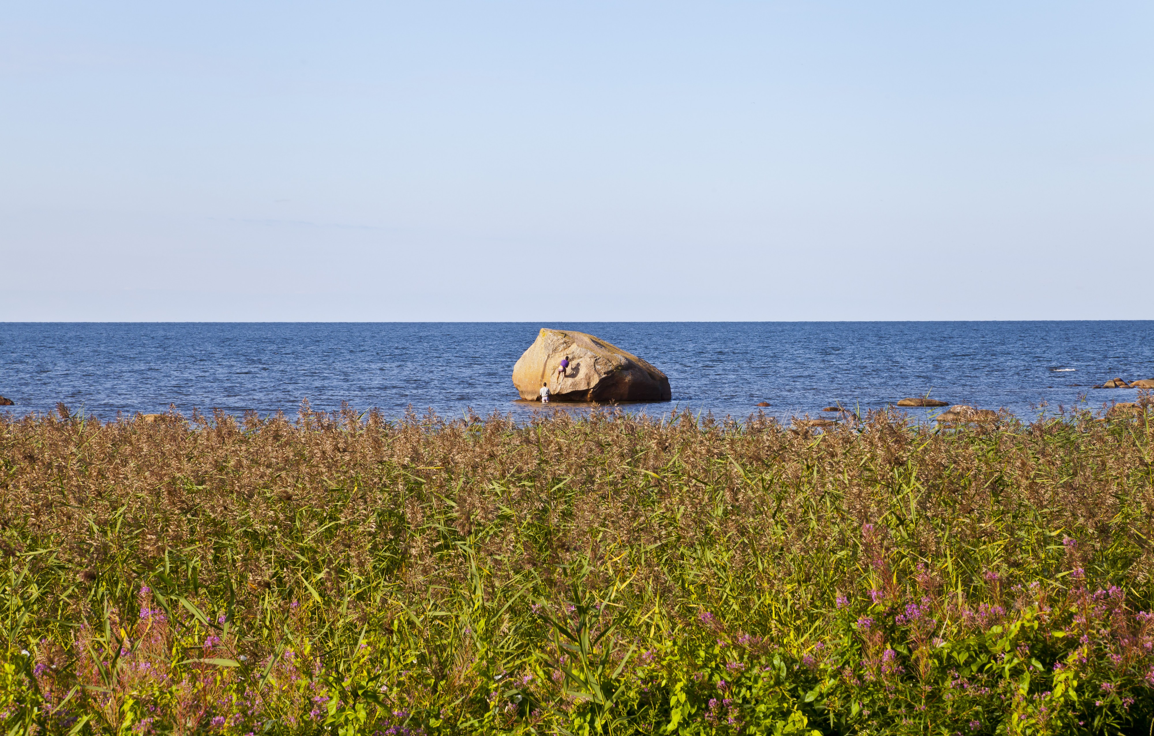Altja, Parque Nacional Lahemaa, Estonia, 2012-08-12, DD 19