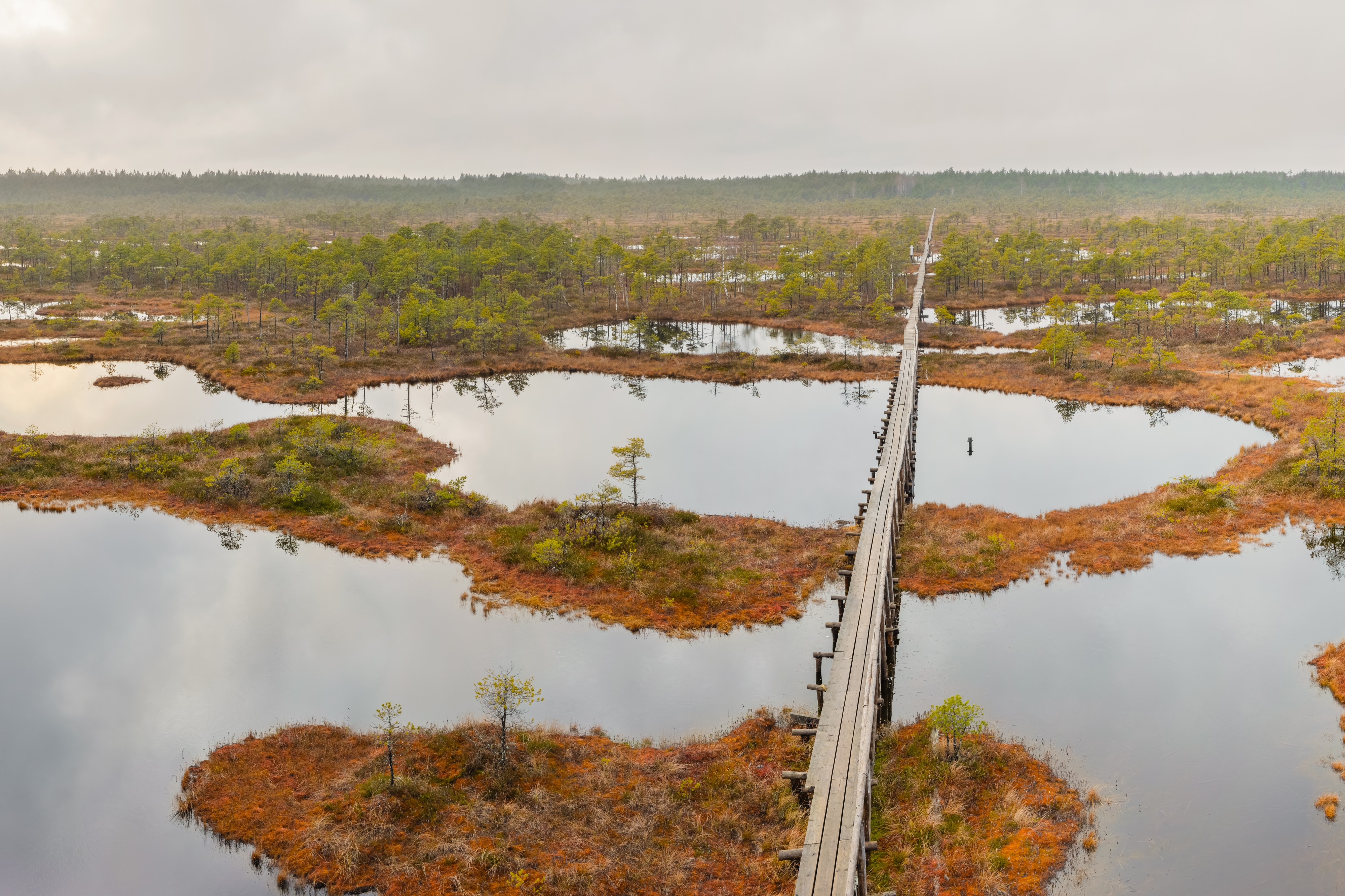 Männikjärve raba tornist