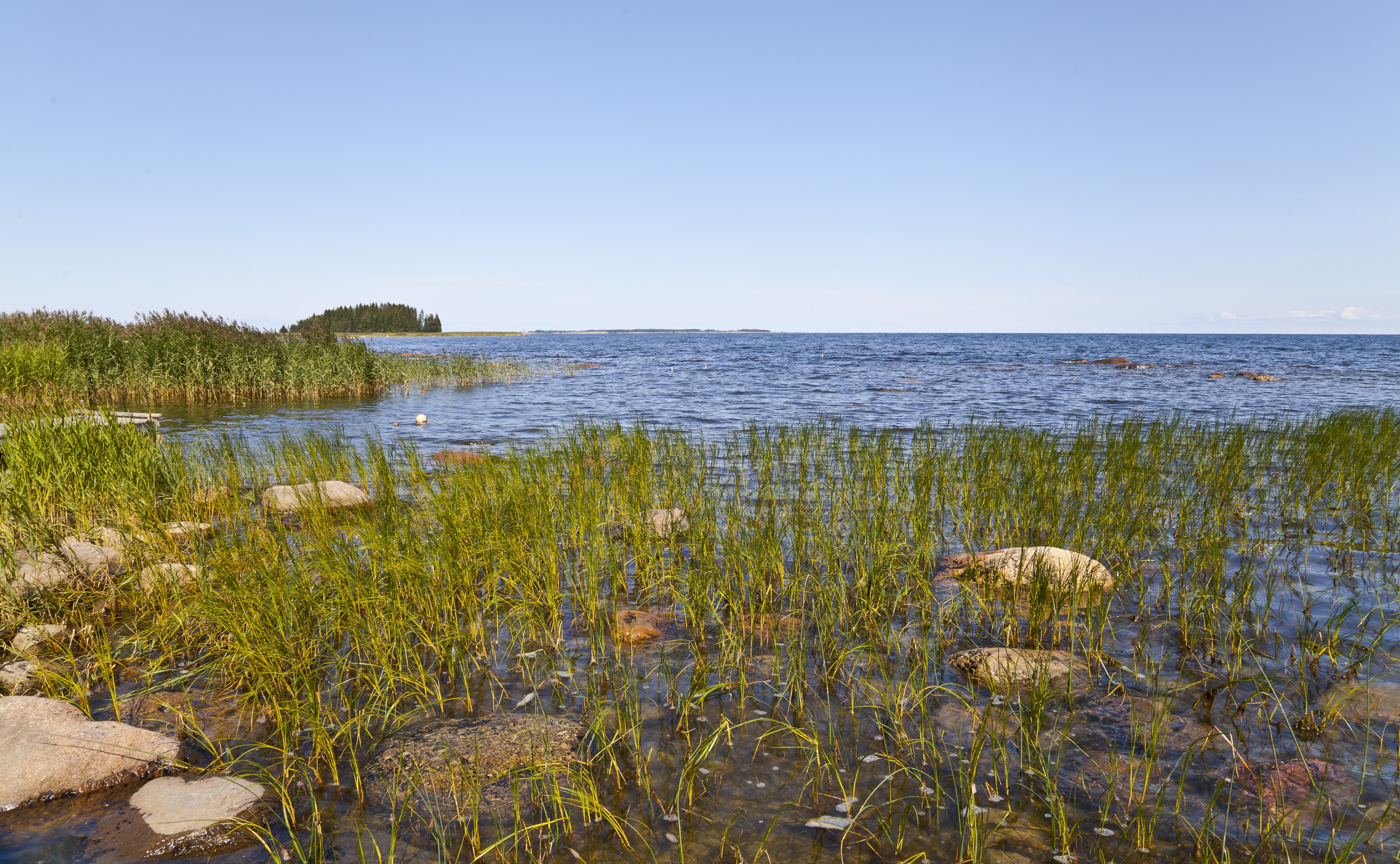 Parque Nacional Lahemaa, Estonia, 2012-08-12, DD 18
