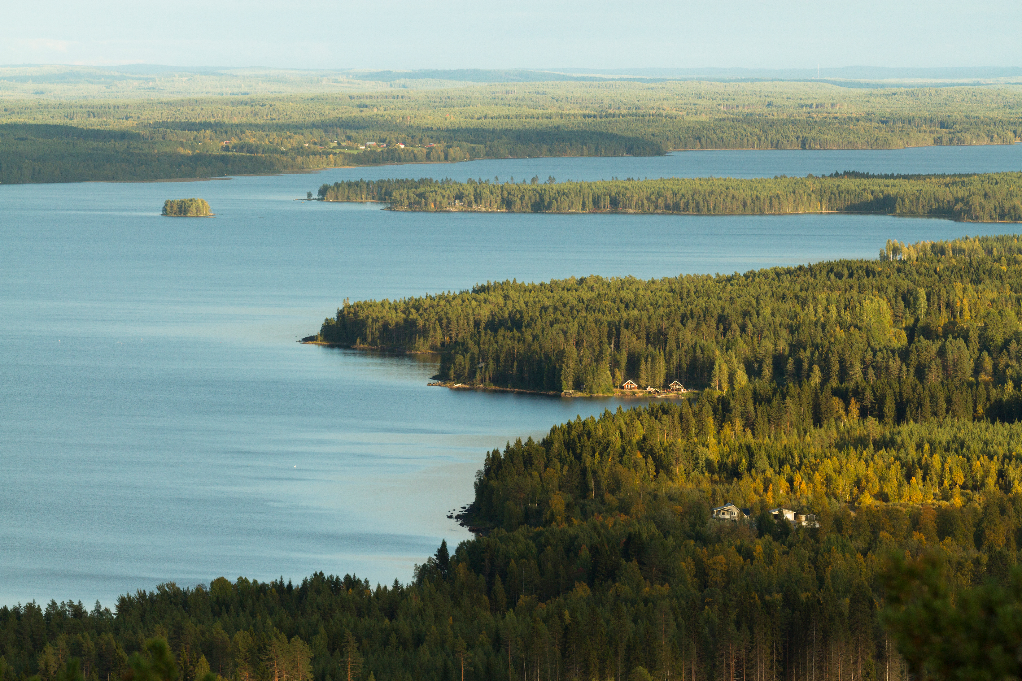 Coastline of Iso Sapsojärvi from Vuokatti, Finland, 2018 September