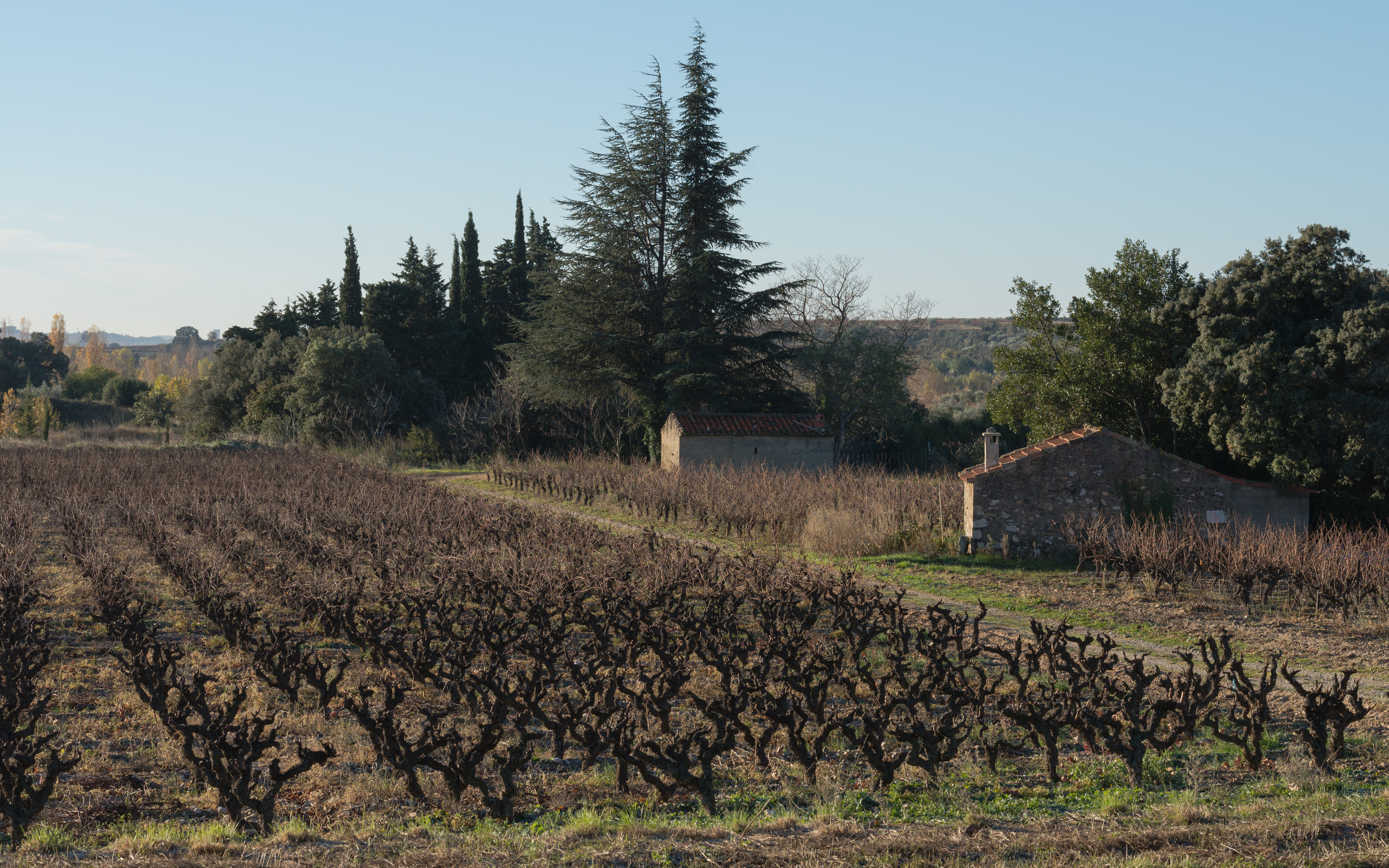 Aniane, Hérault 01
