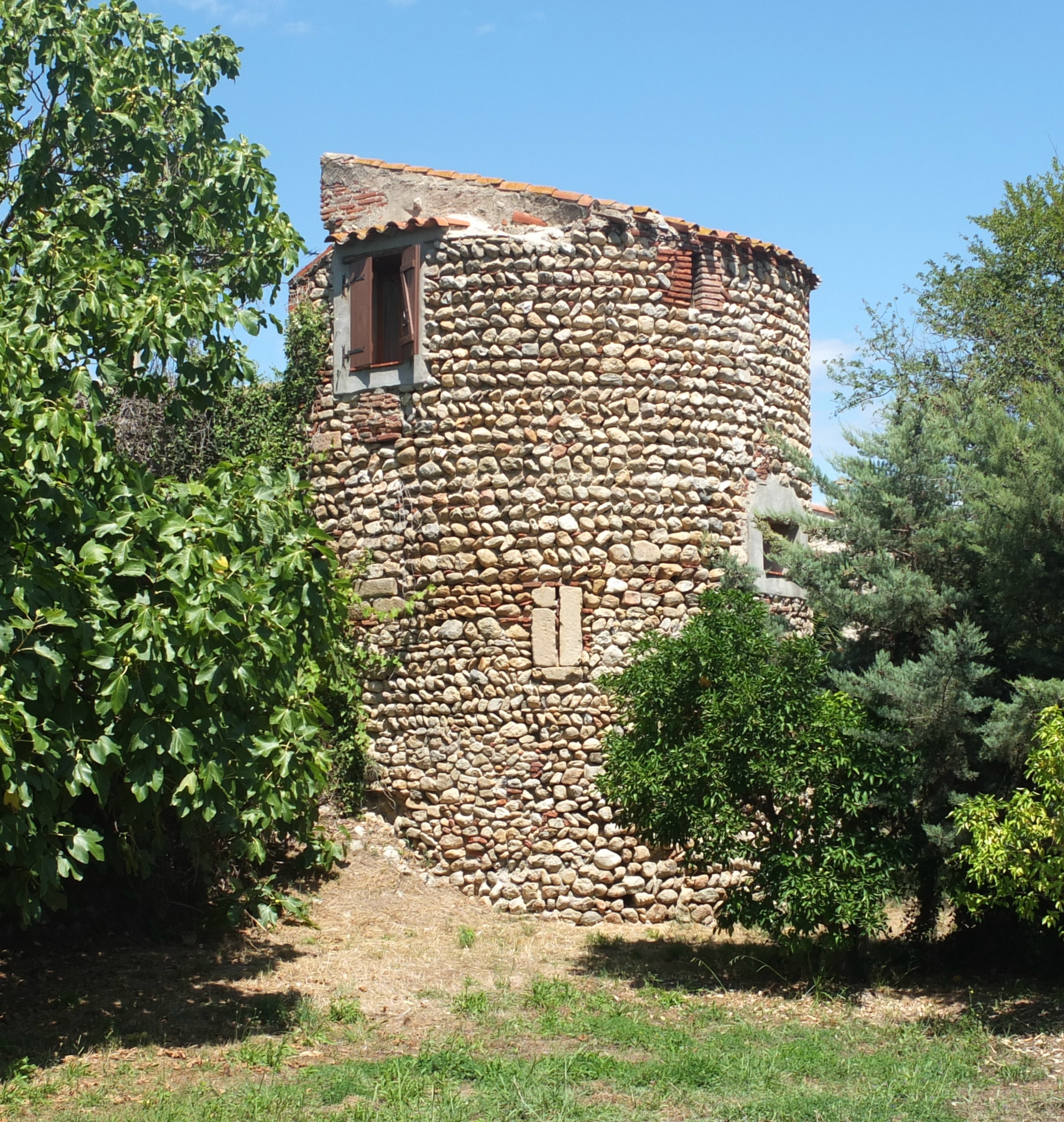 Argeles taxo d'avall(2)