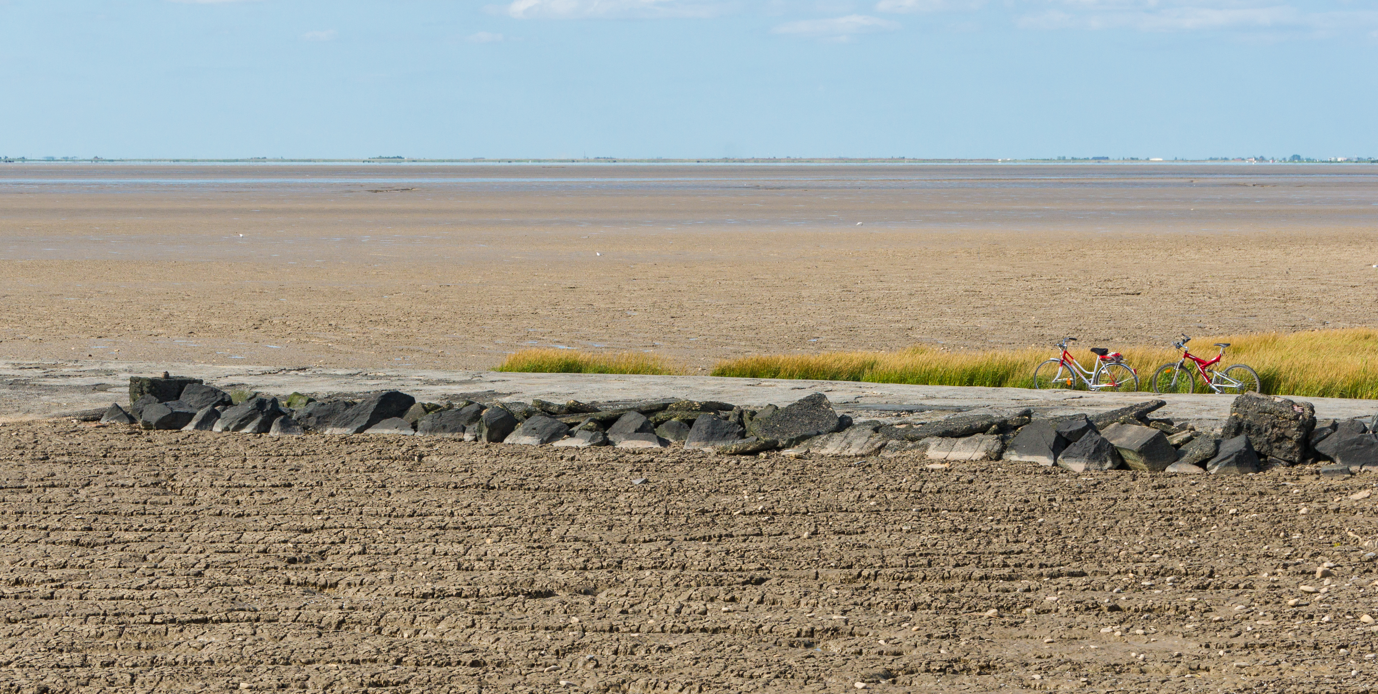 Baie aiguillon natural reserve cyclists Charente-Maritime